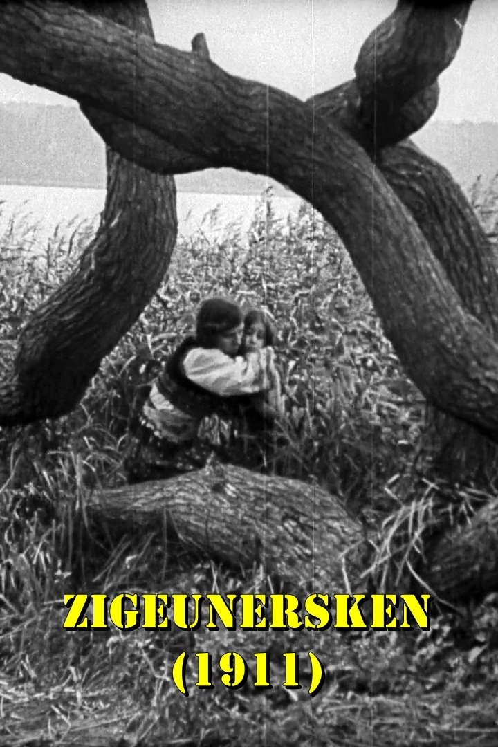 Poster de Zigeunersken