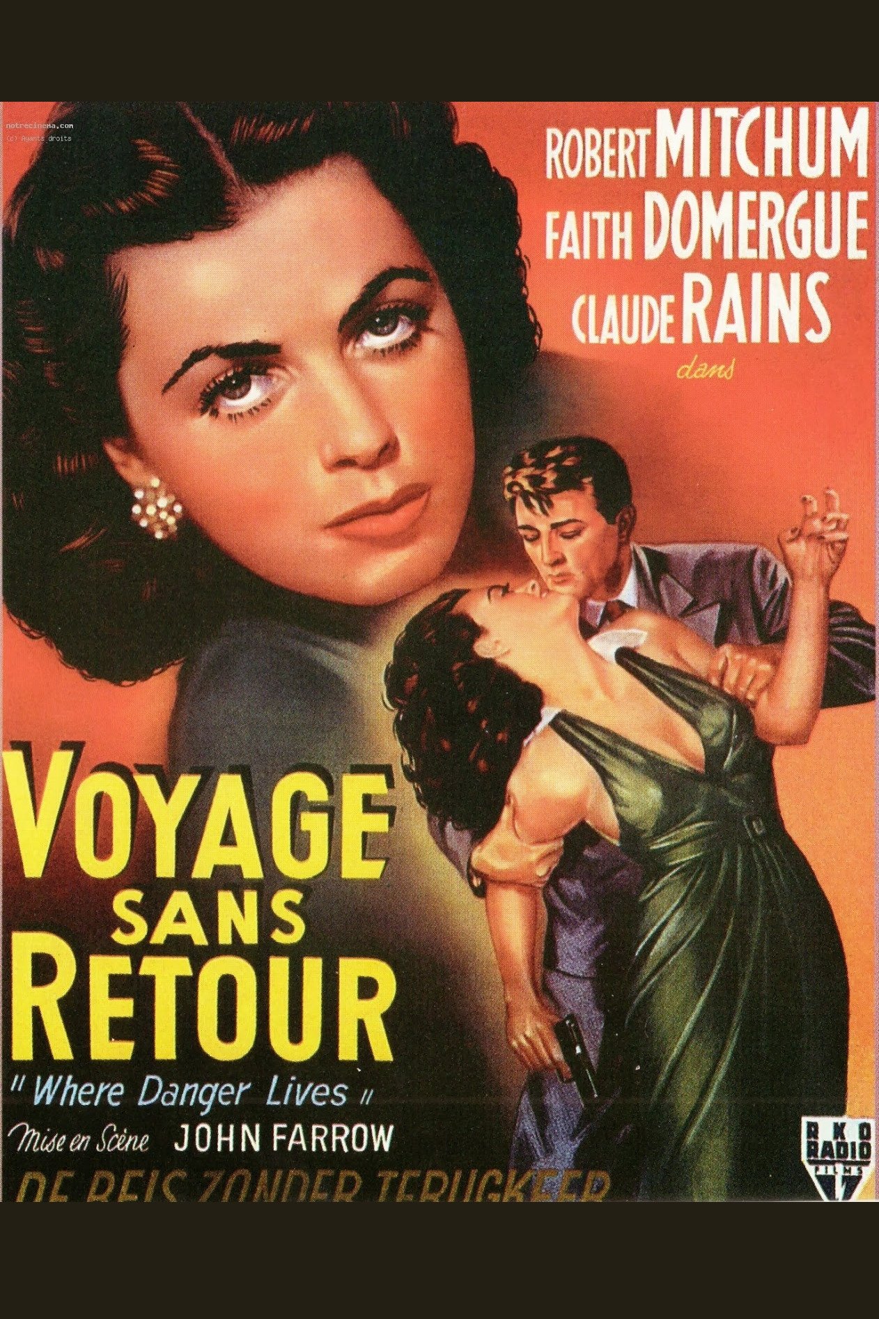 Affiche du film Where Danger Lives