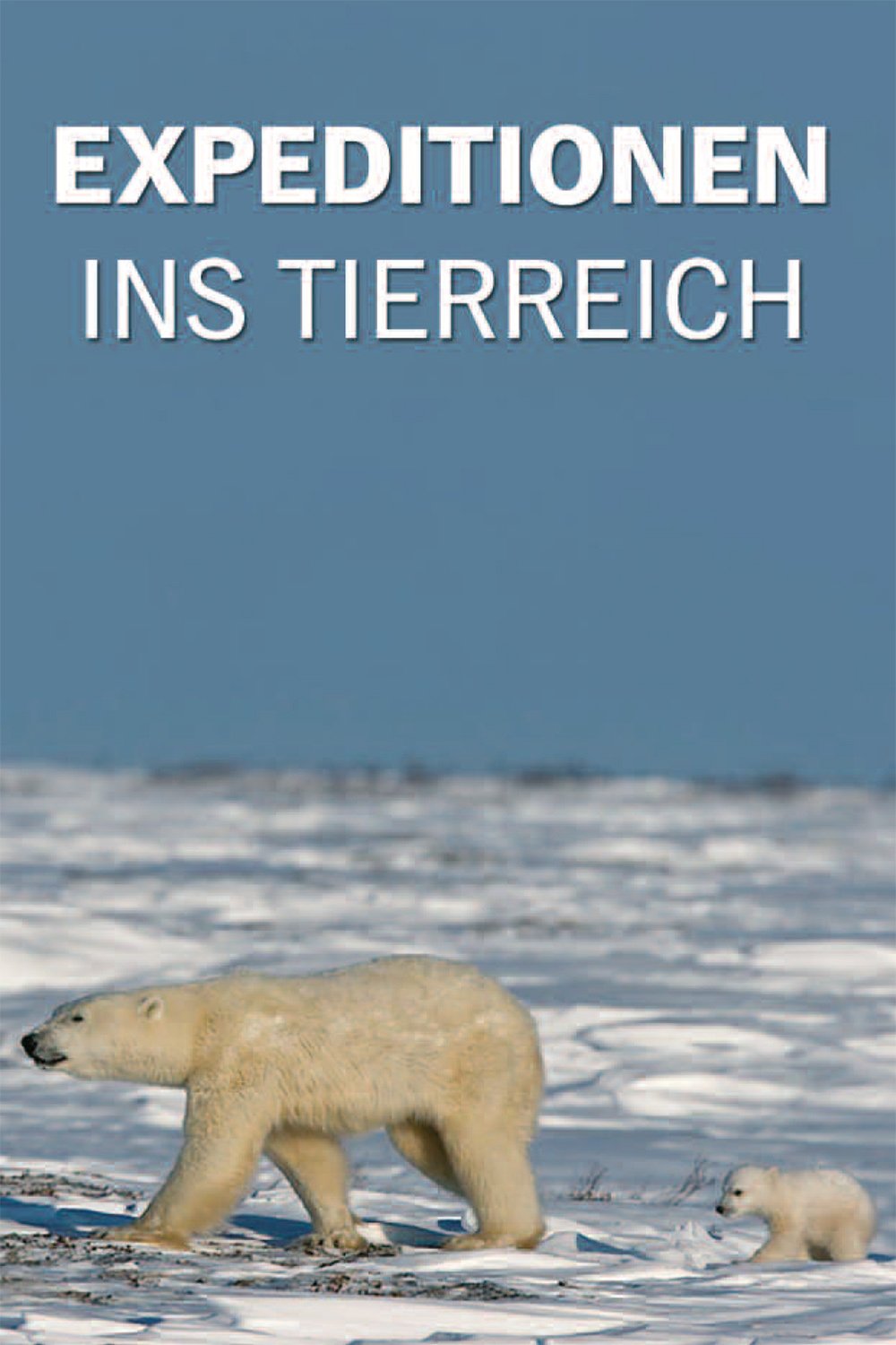 Poster de Expeditionen ins Tierreich