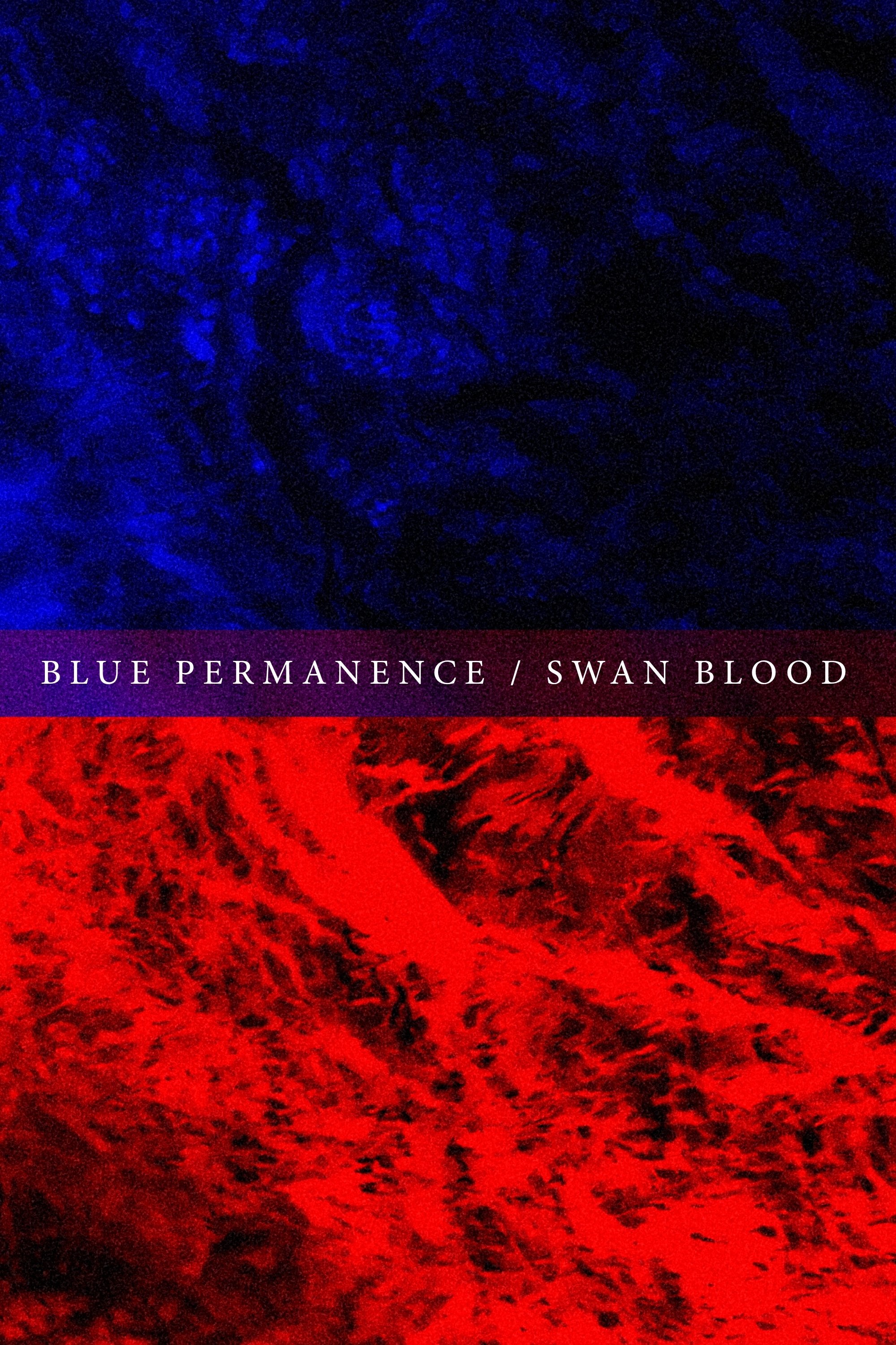Poster de Blue Permanence / Swan Blood