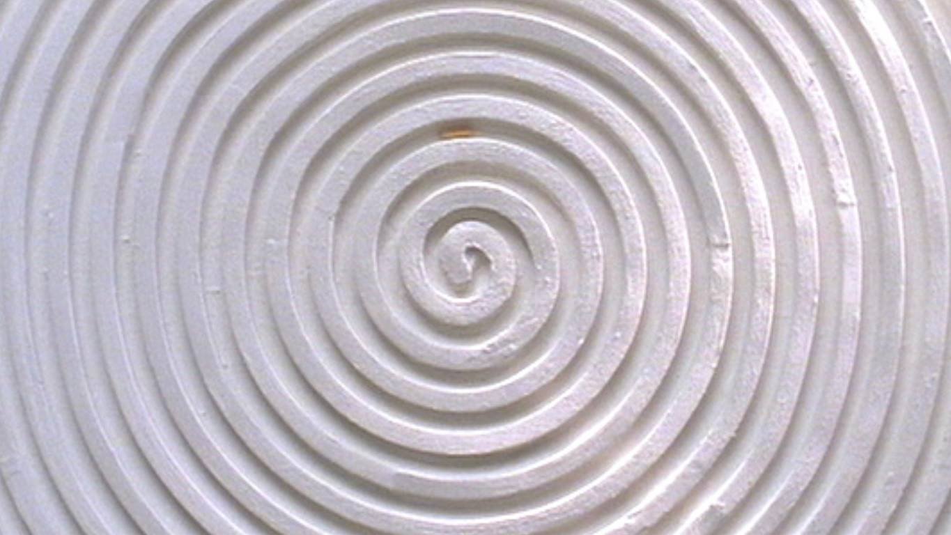 A Story Constructed of 17 Pieces of Space and 1 Maggot