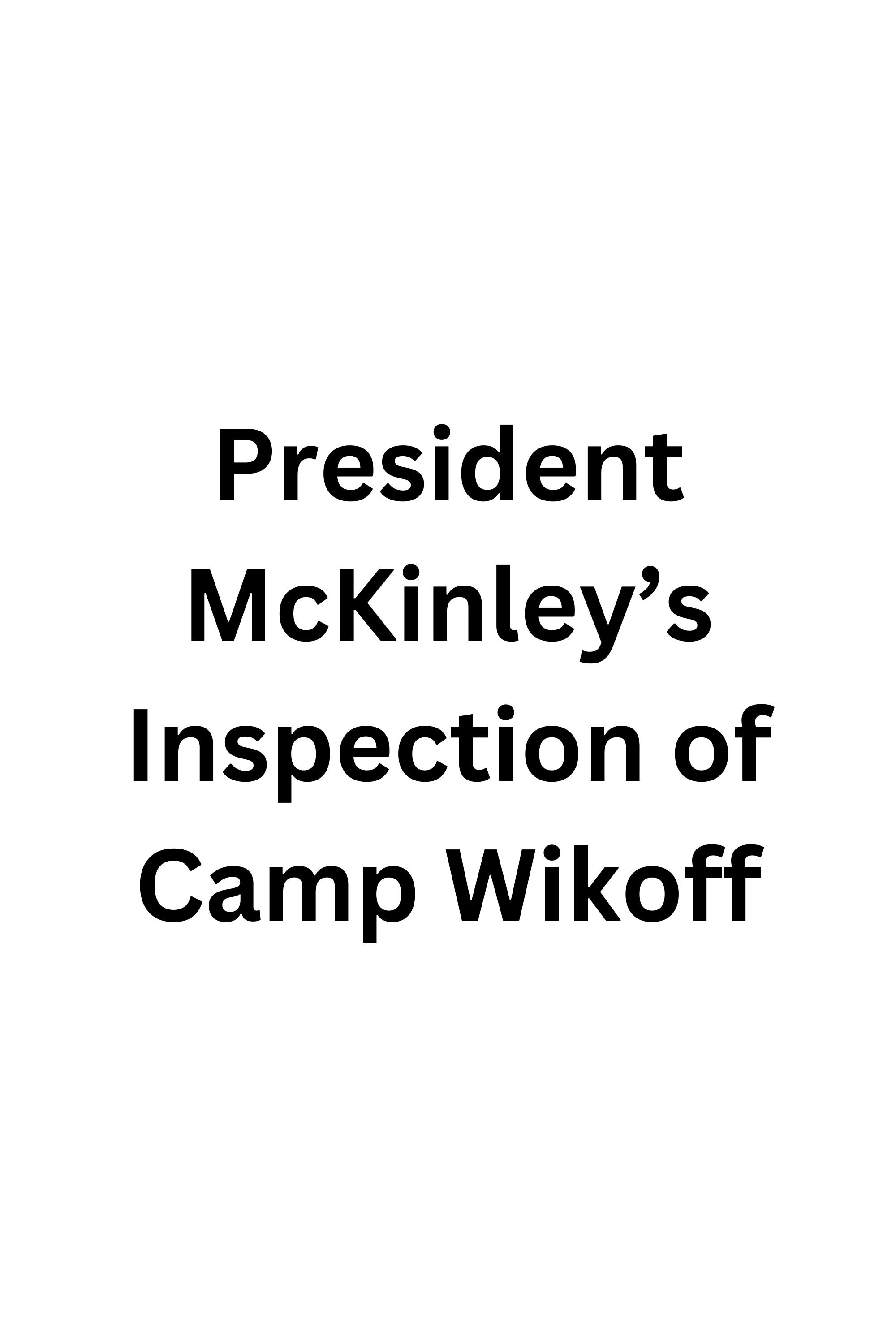 Poster de President McKinley's Inspection of Camp Wikoff