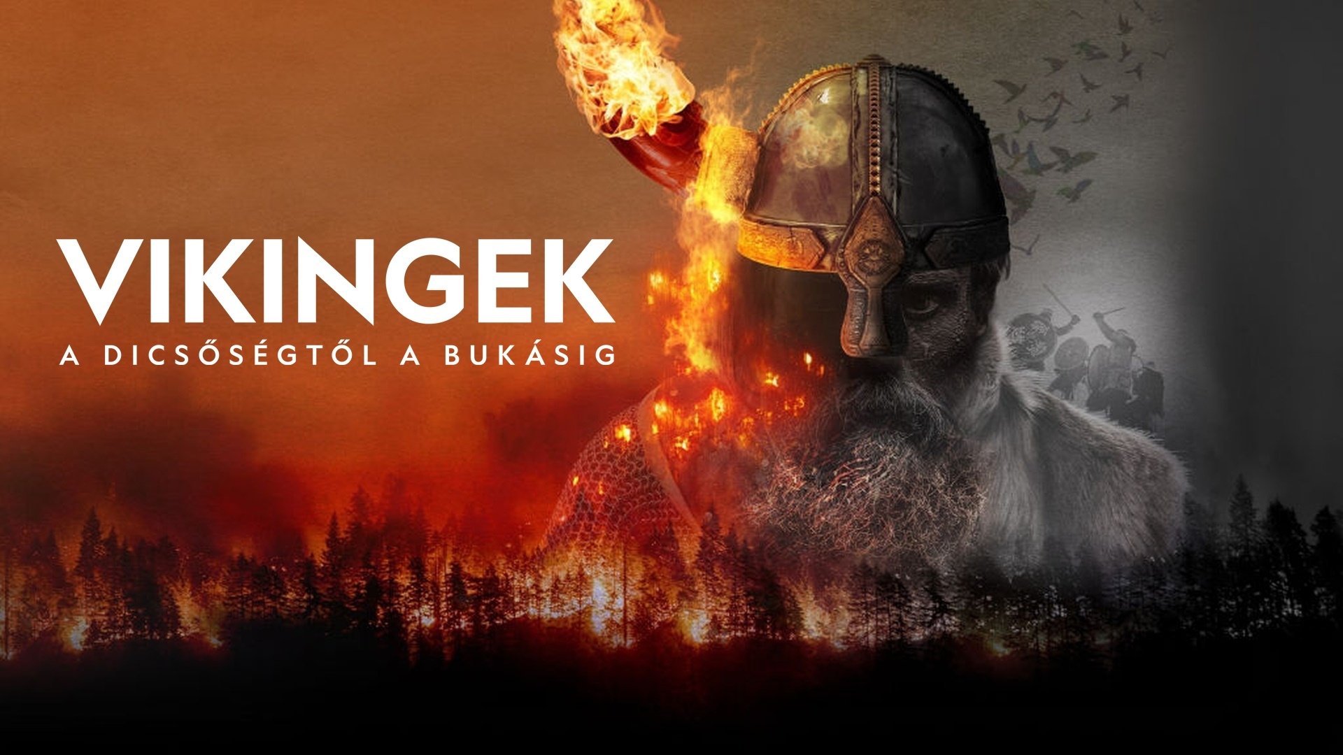 Vikings: The Rise & Fall