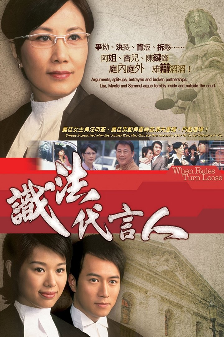 Poster de 識法代言人