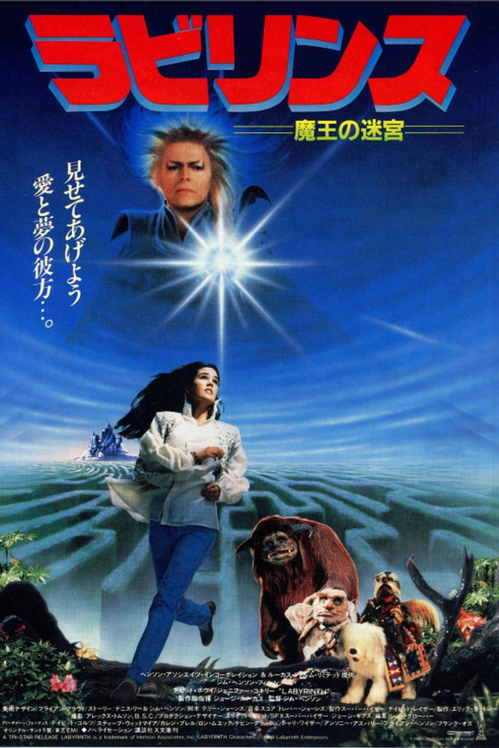 空想好きのサラは、女優を夢見る15歳の少女。ある土曜、両親が連れ立って外出し、彼女はまだ赤ん坊の弟トビーの世話を頼まれる。ぐずるトビーに、サラが愛読書の「ザ・ラビリンス〈迷宮〉」を読んで聞かせると、なんとトビーの部屋の片隅から突然黒い影が動き出し、“迷宮”の魔王ジャレスが現われる。ジャレスはトビーをさらうと姿を消してしまい、サラは後を追って数々の罠が待ち受ける迷宮へと足を踏み入れる。