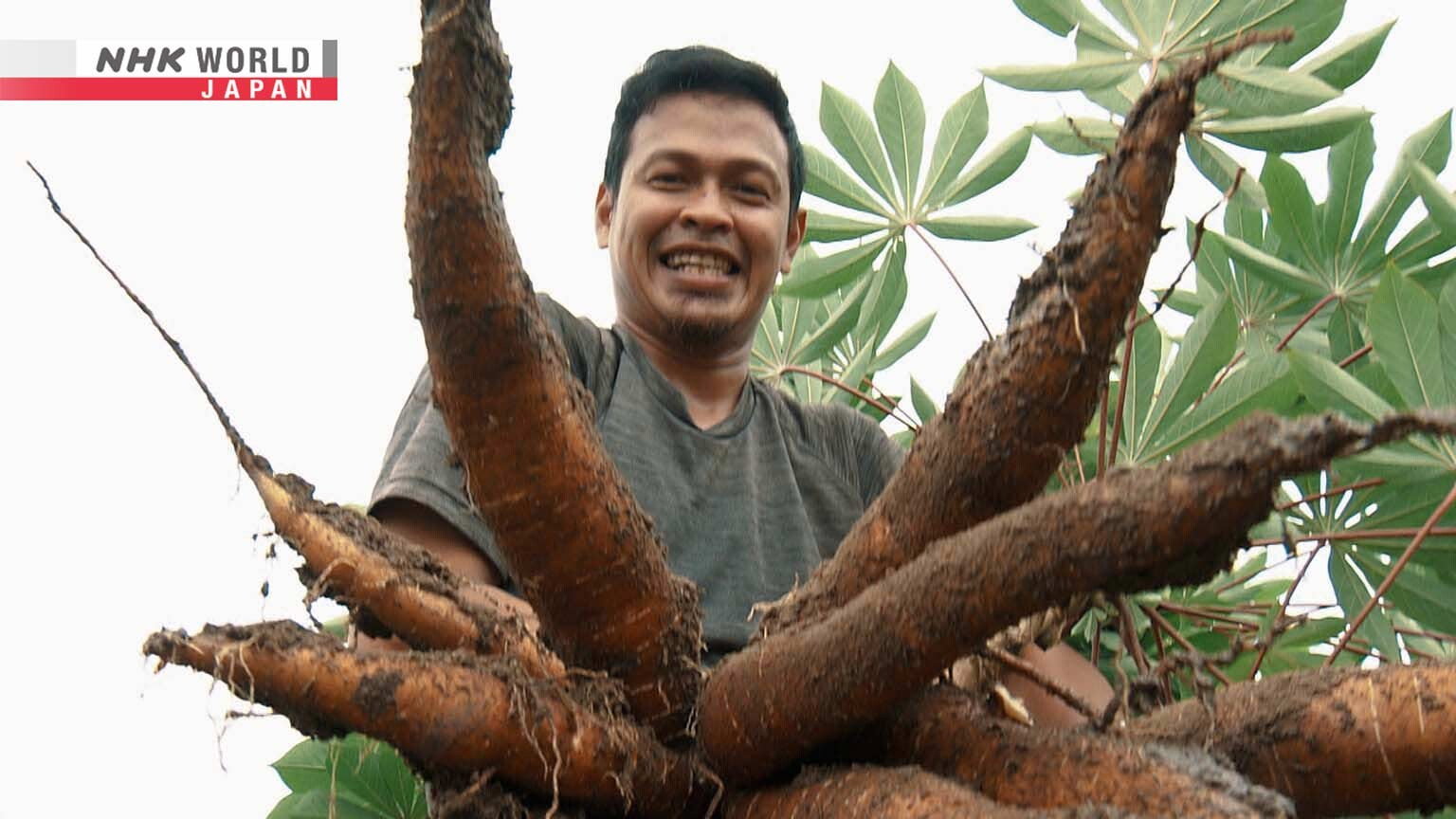 Agriculture Has Great Potential