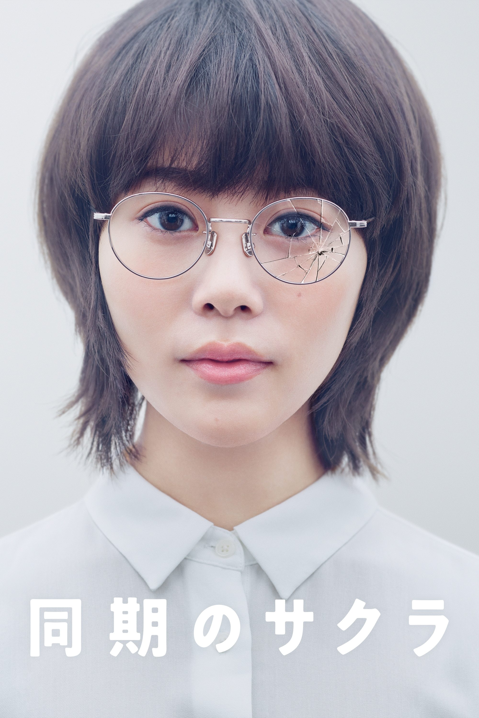 Poster de 同期のサクラ