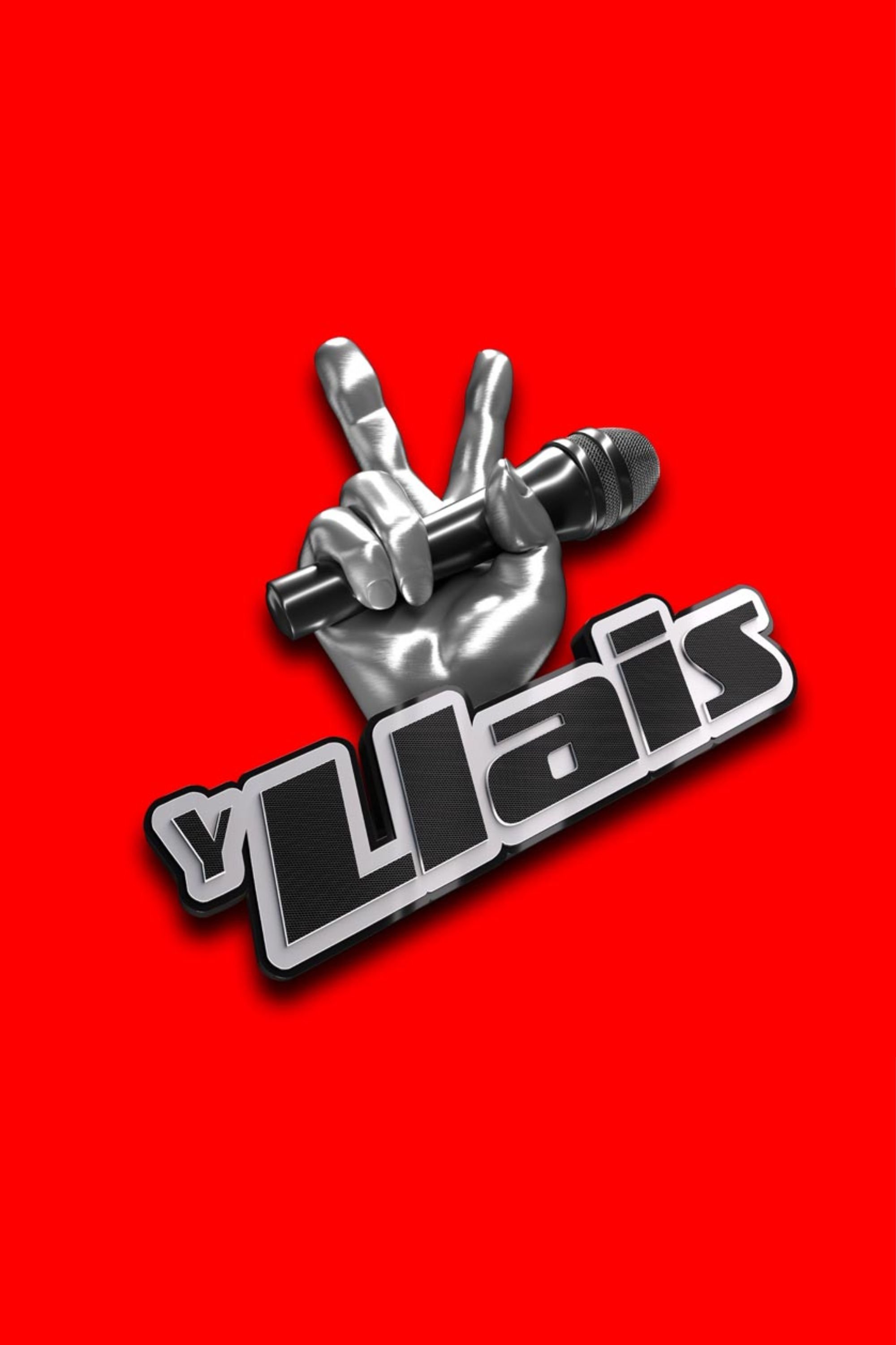 Poster de Y Llais