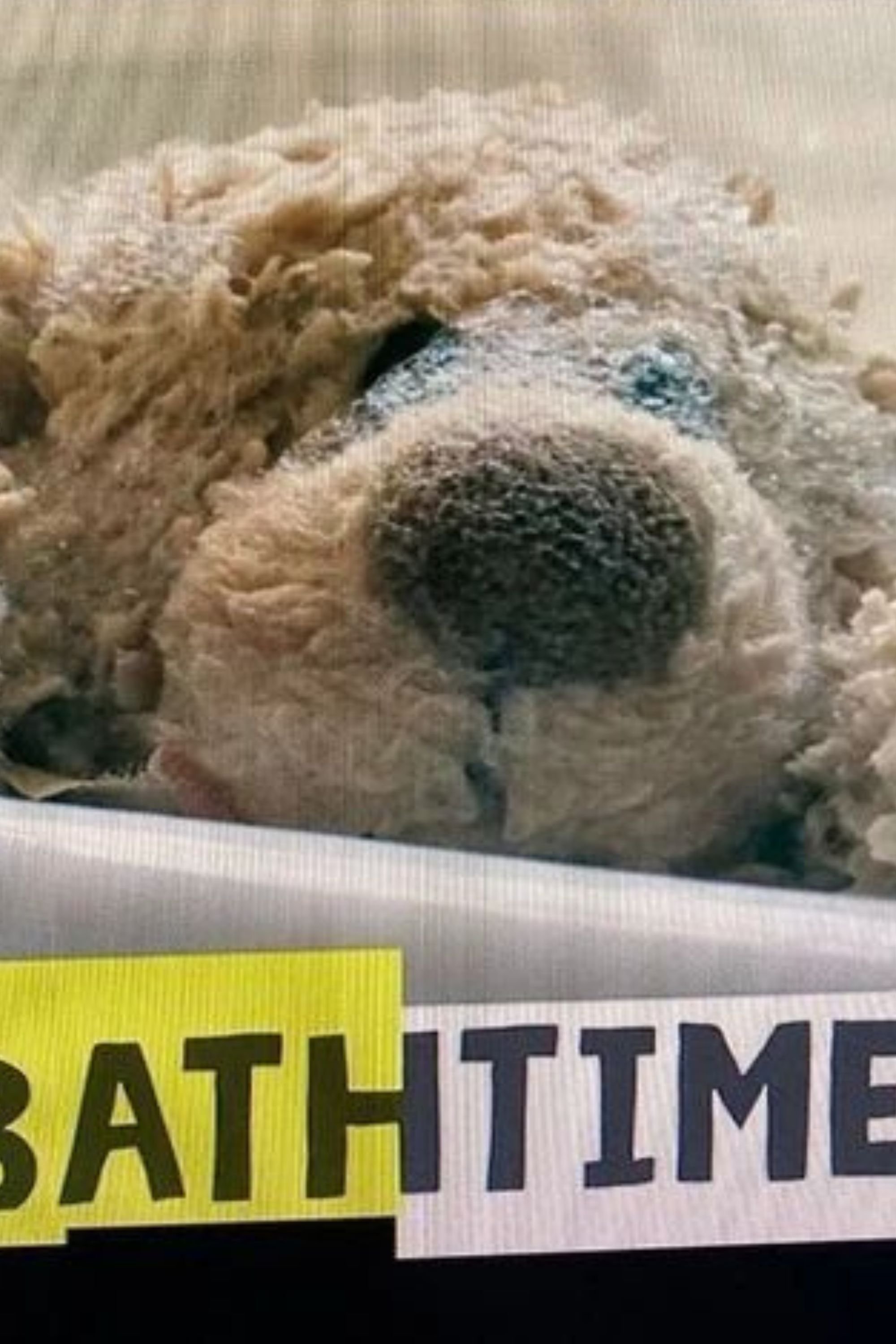 Poster de Bathtime