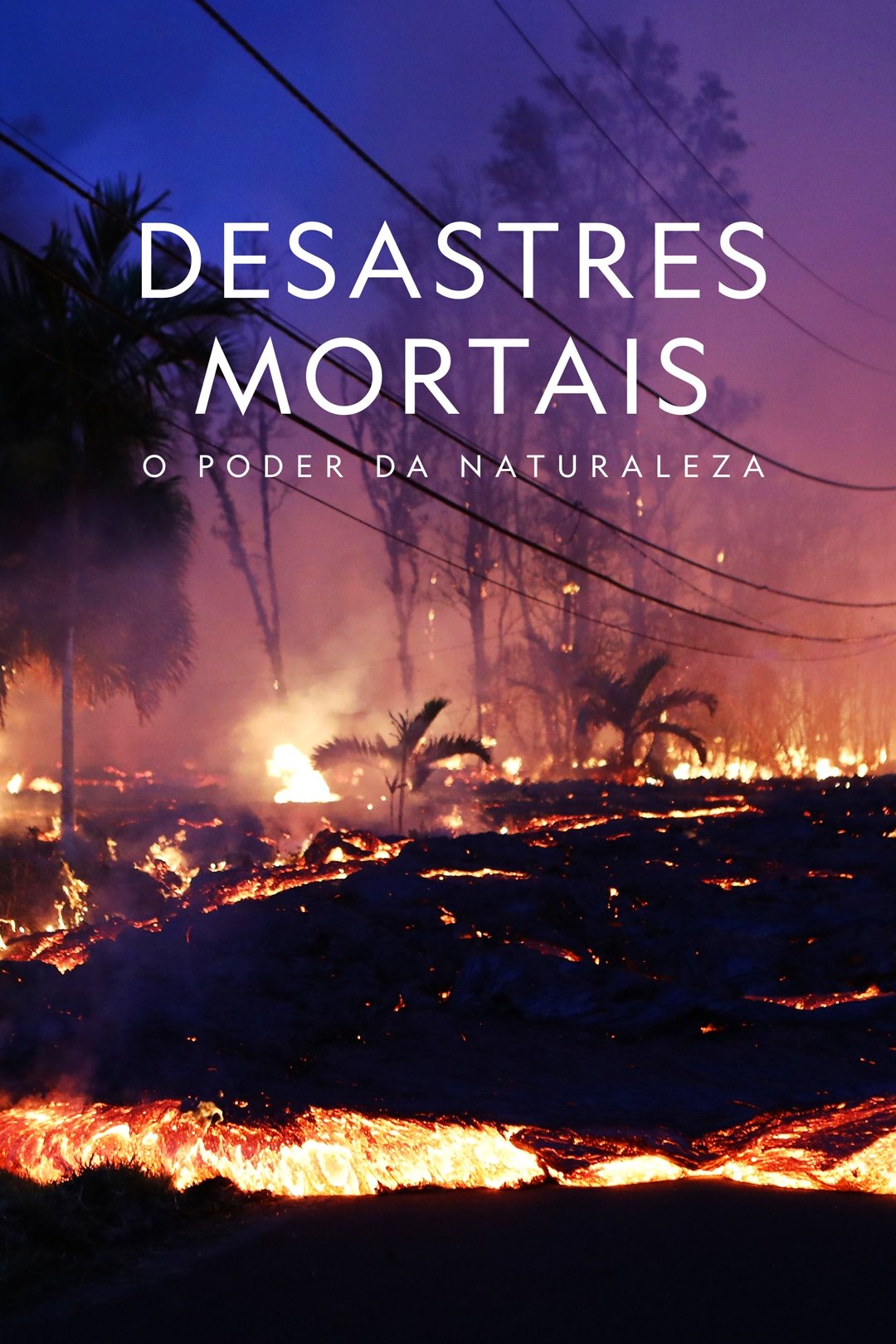 Poster de Desastres Mortais: O Poder da Natureza