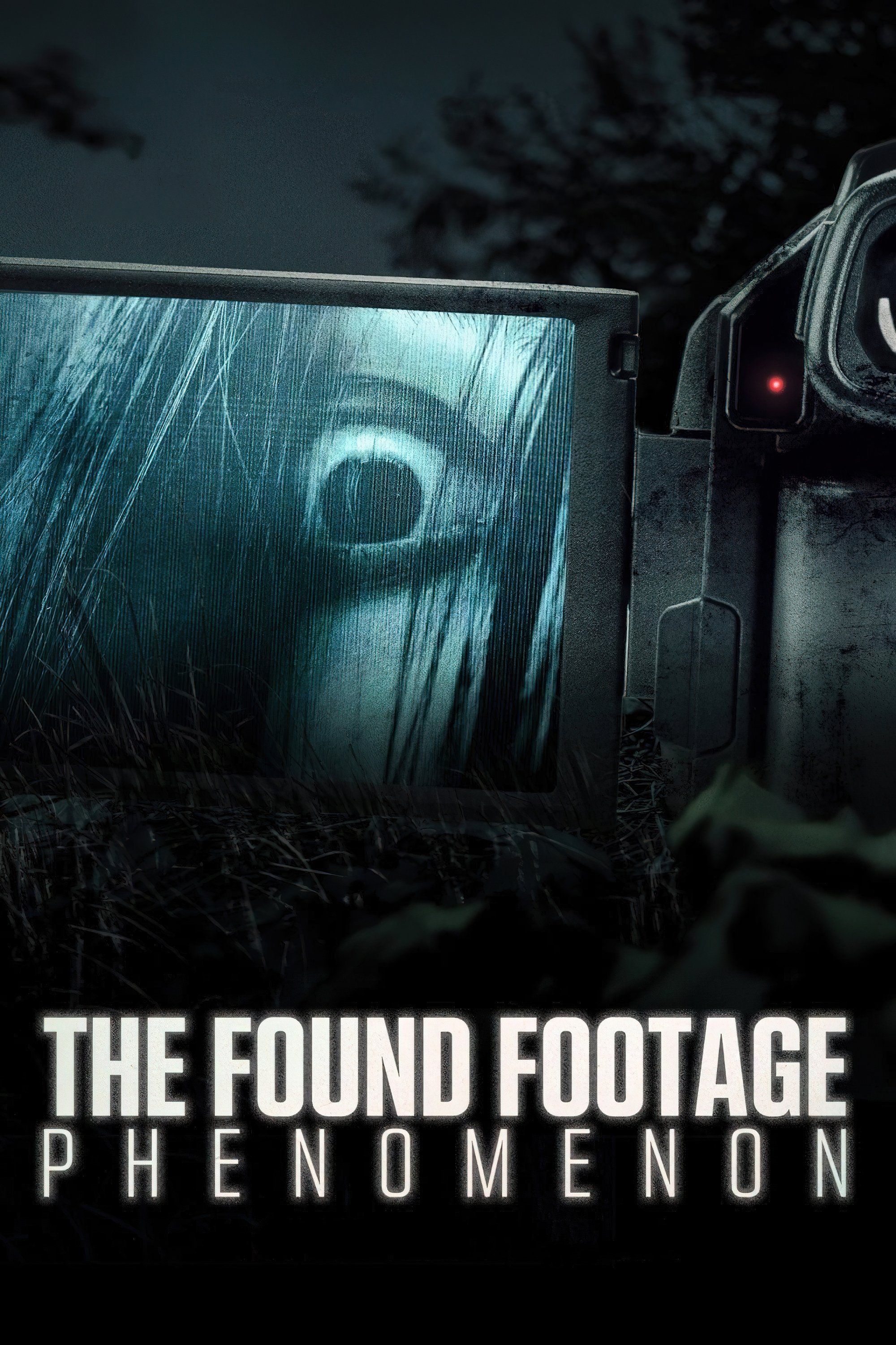 Affiche du film The Found Footage Phenomenon