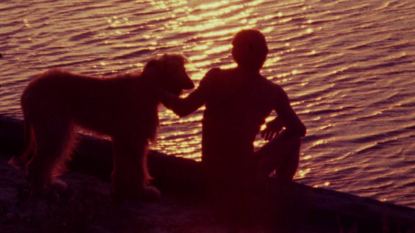 Backdrop image