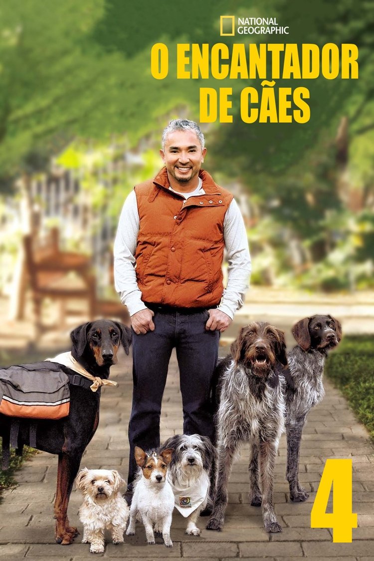 Poster de Temporada 4