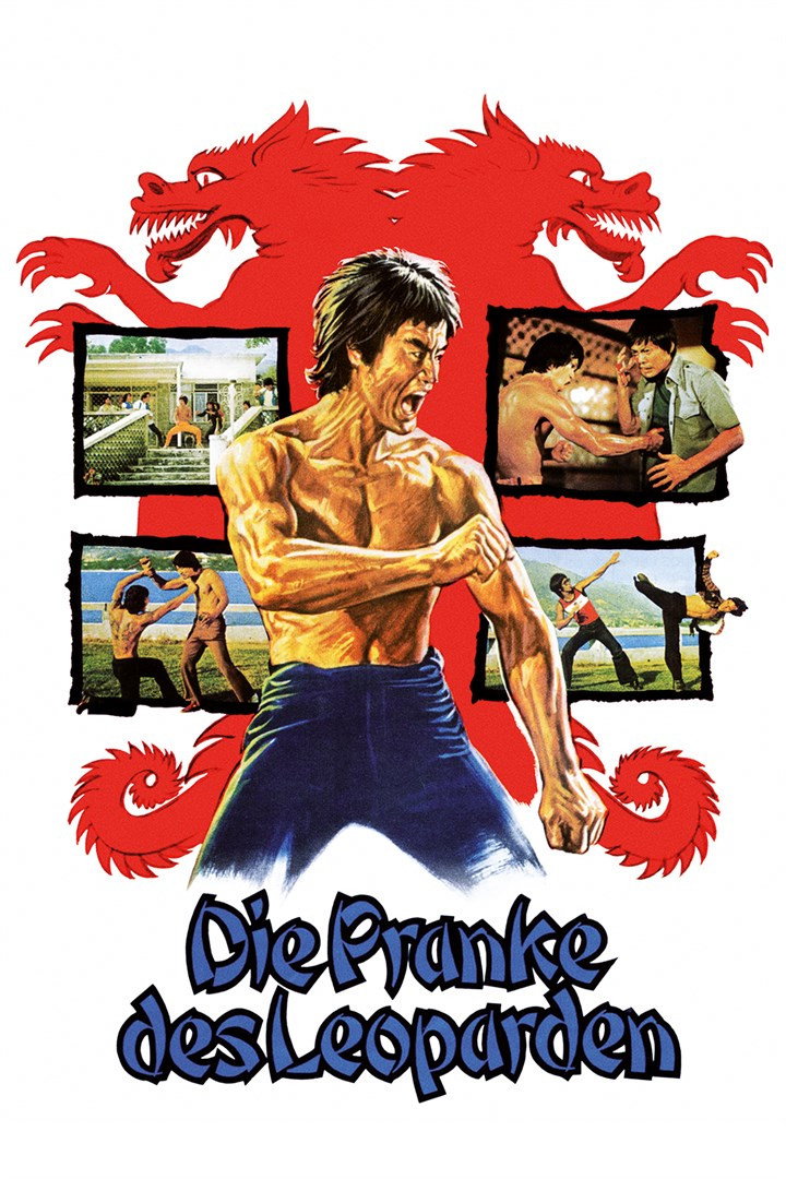 Bruce Lee erhält eines Tages die Nachricht, dass sein Schwester in einem Bordell in HK verschwunden ist und von einem Gangster zu Prostitution gezwungen wird. Auf der Suche nach ihr muss er festellen dass das wertvolle KUNG FU FINGERBUCH (Die Techniken der 10 tödlichen Finger) verschwunden ist.