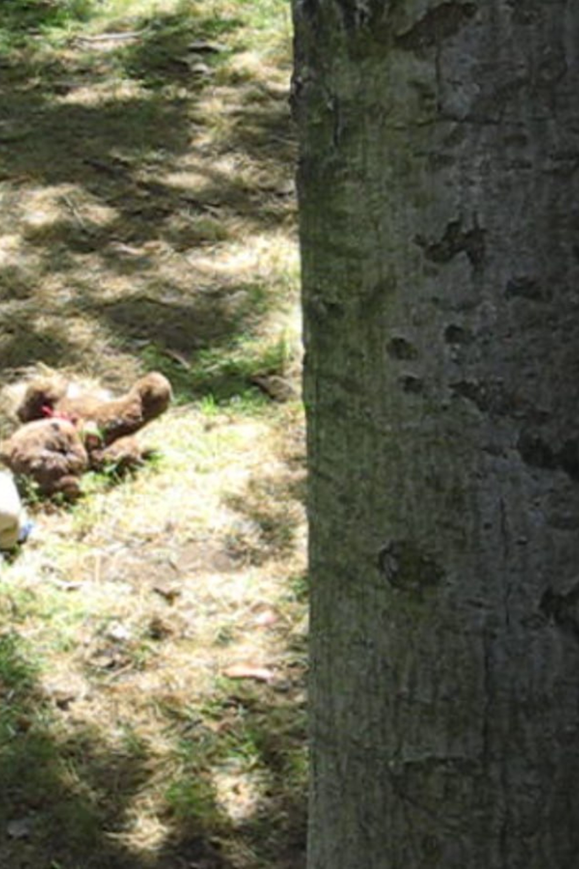 Sully & Danny