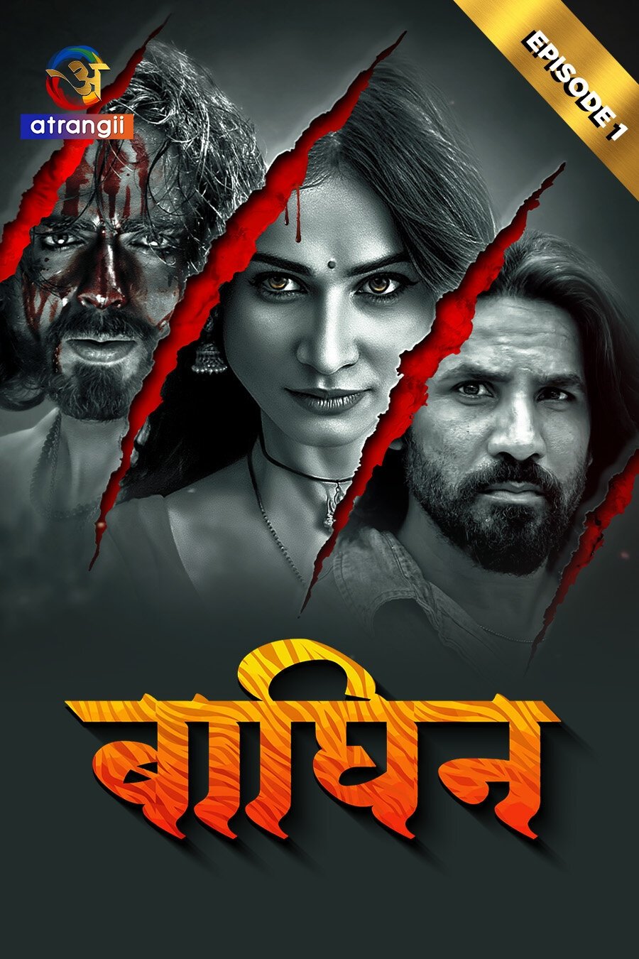 Poster de बाघिन