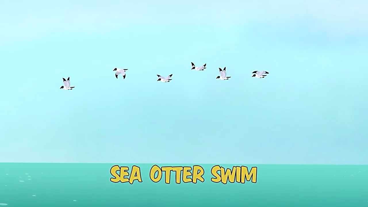 Sea Otter Swim