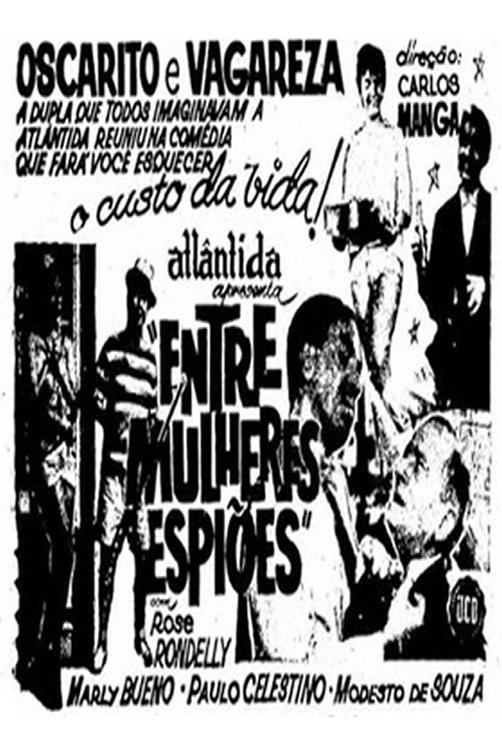 Poster de Entre Mulheres e Espiões