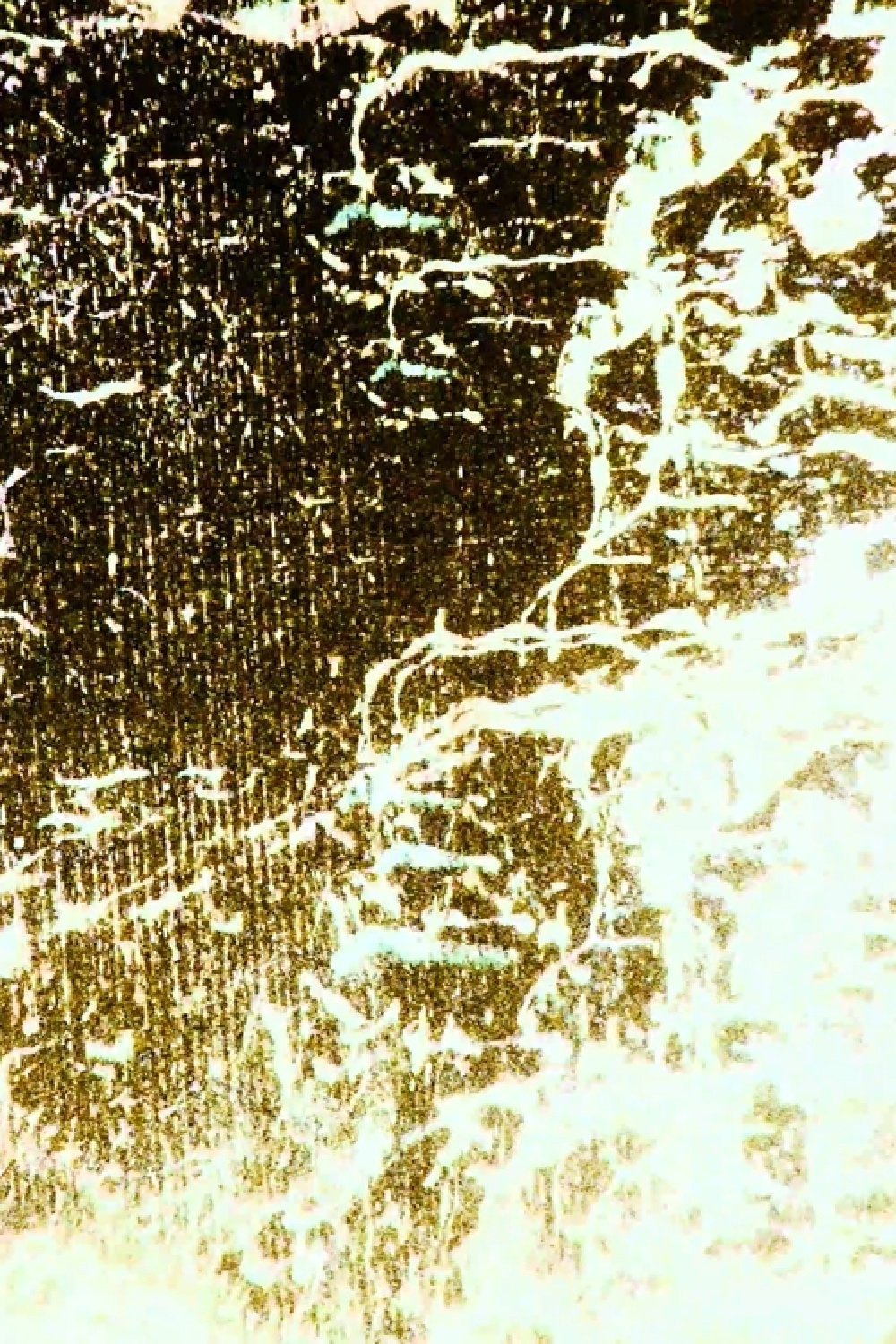 Poster de Ruler of the great heavens, are you so slow to hear crimes? And so slow to see? / Hieronymo está louco de novo