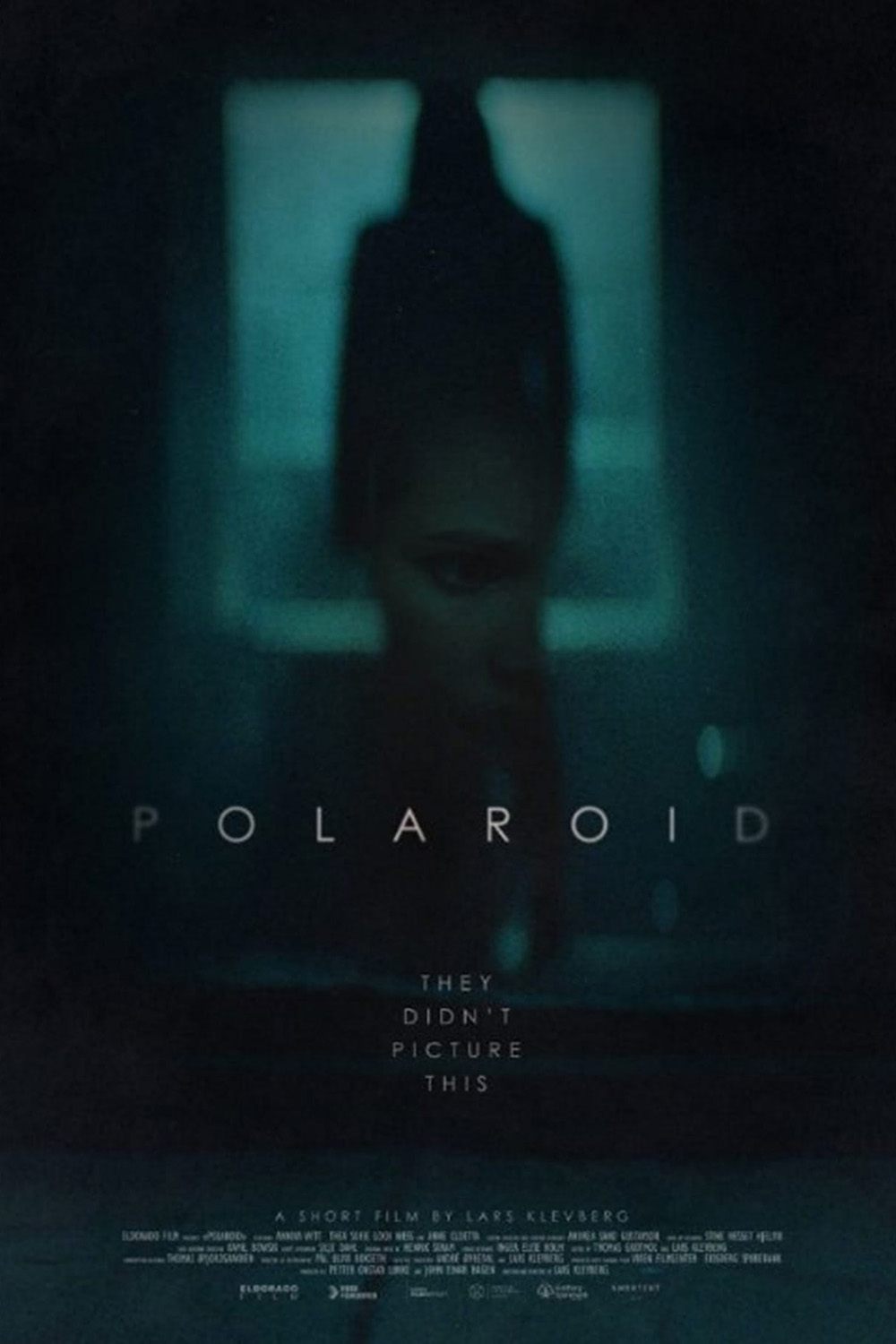 Poster de Polaroid