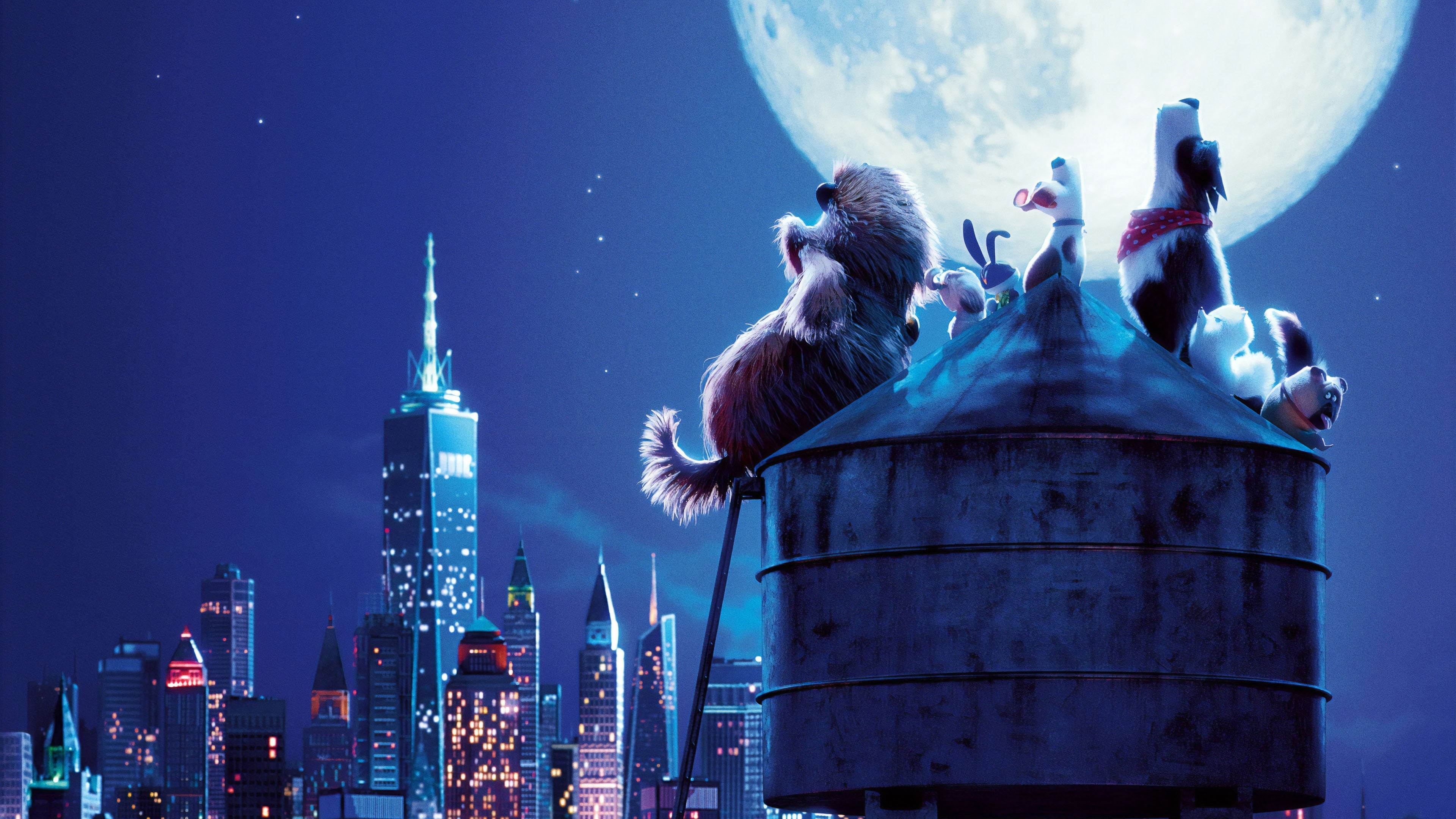 The Secret Life of Pets 2 2019 Soap2Day