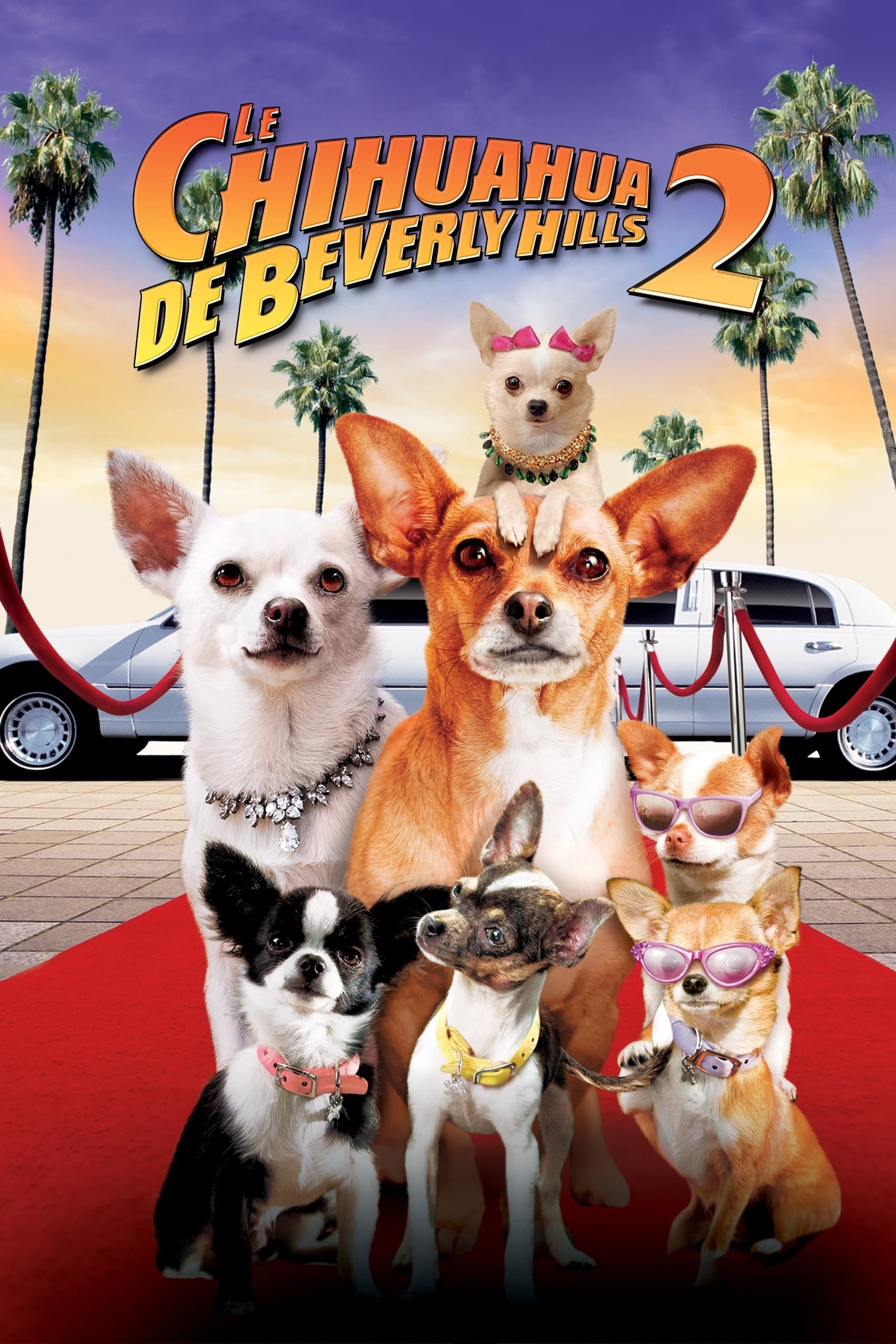 Affiche du film Le Chihuahua de Beverly Hills 2
