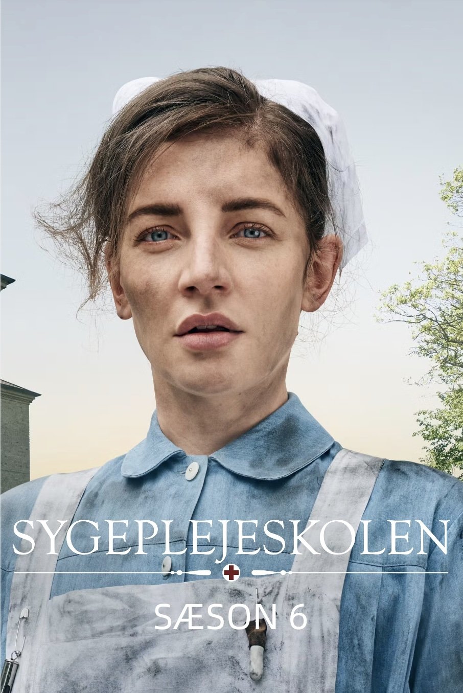Poster de Temporada 6