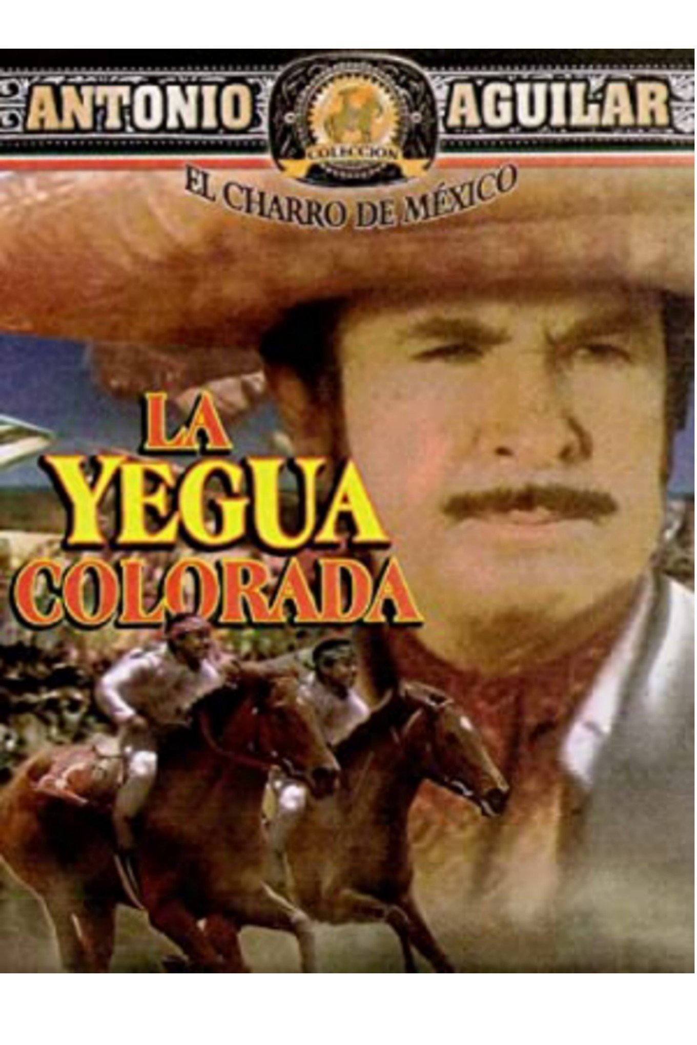 Poster de La yegua colorada