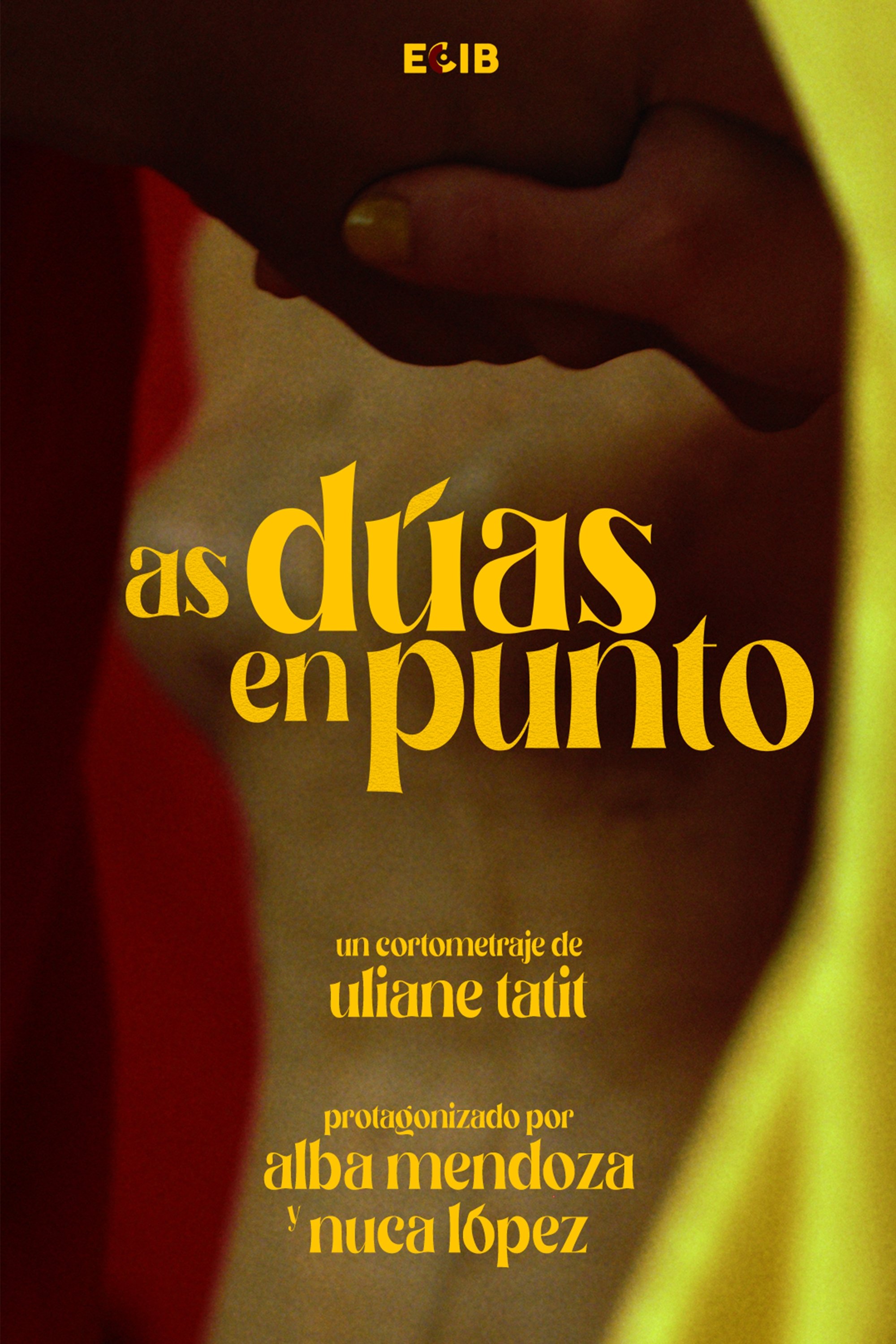 Poster de As Dúas en Punto