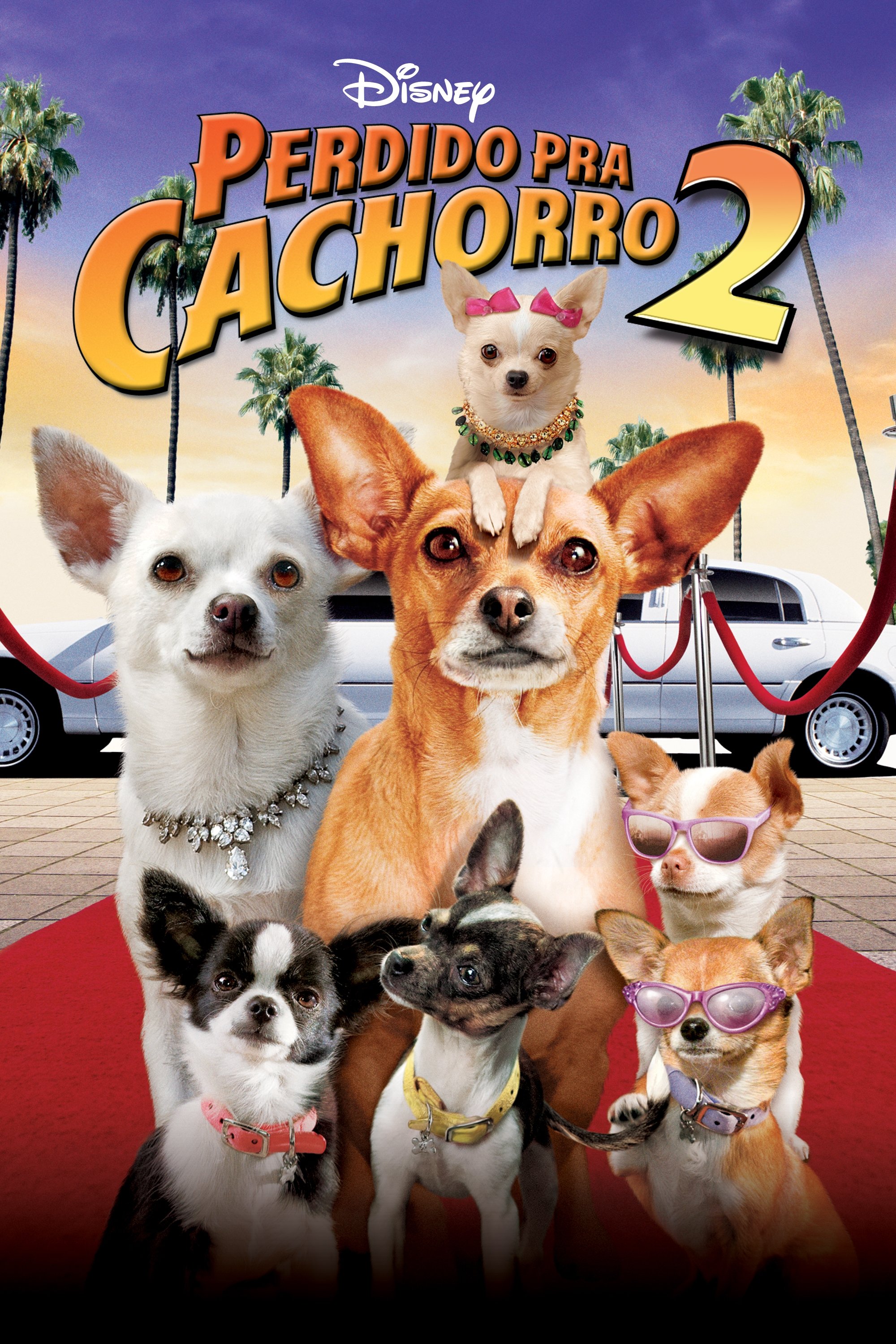 Poster de Perdido pra Cachorro 2