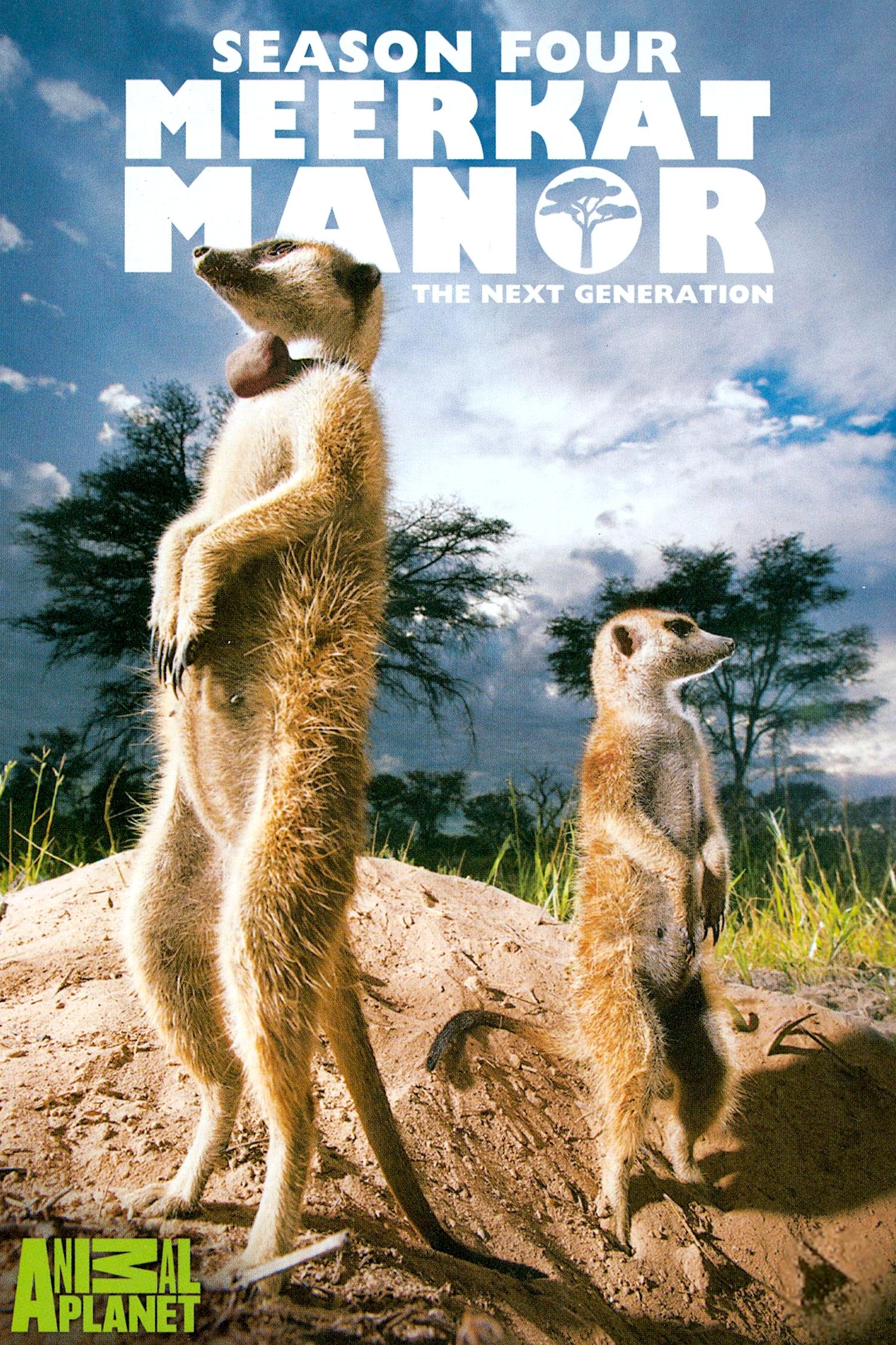 Poster de Temporada 4