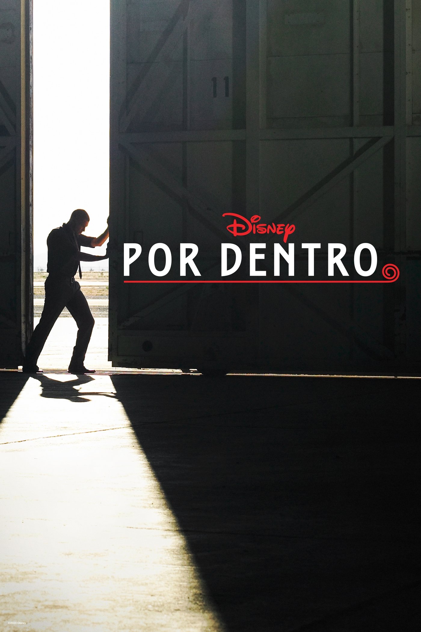 Poster de Por Dentro da Disney