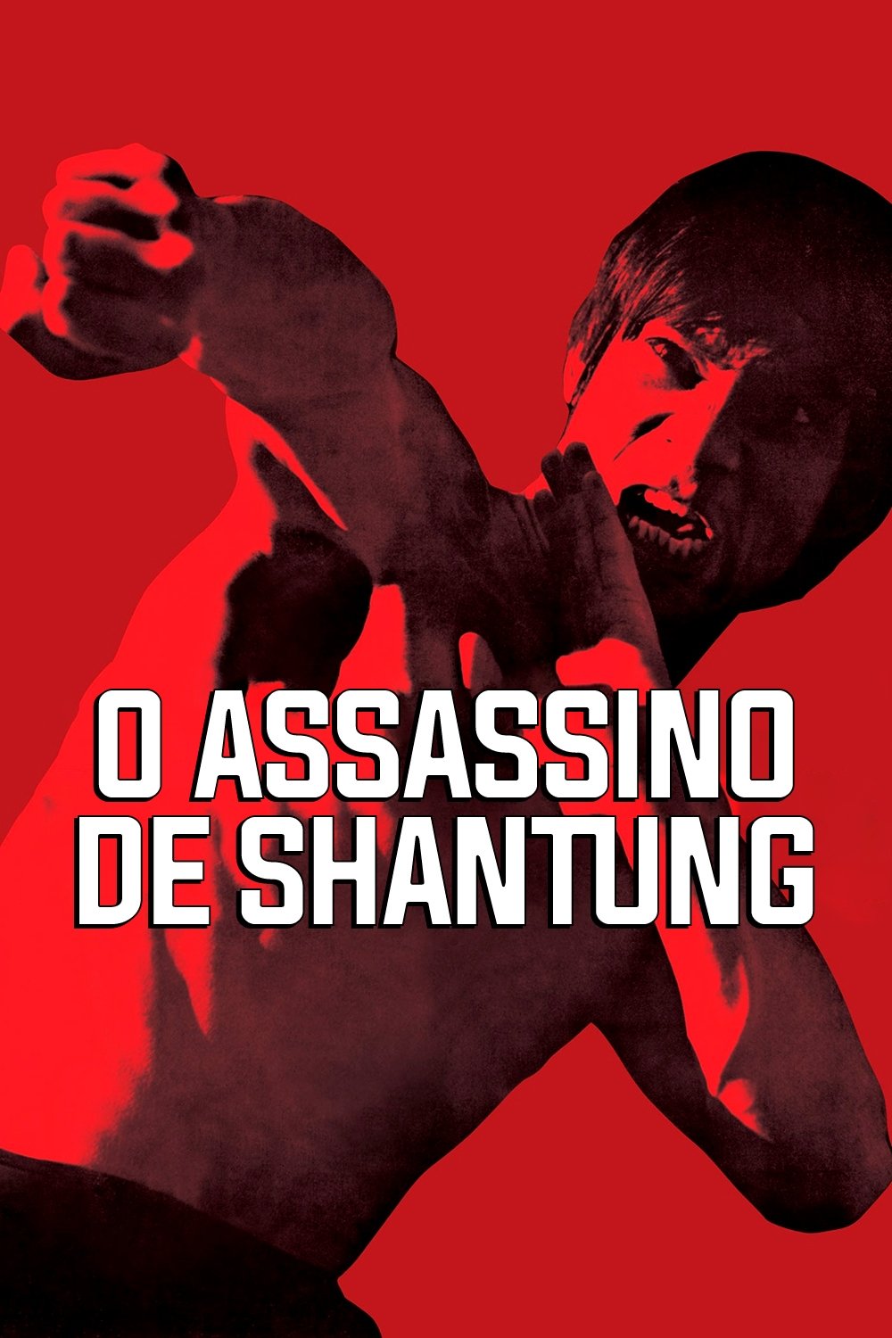 Poster de O Assassino de Shantung