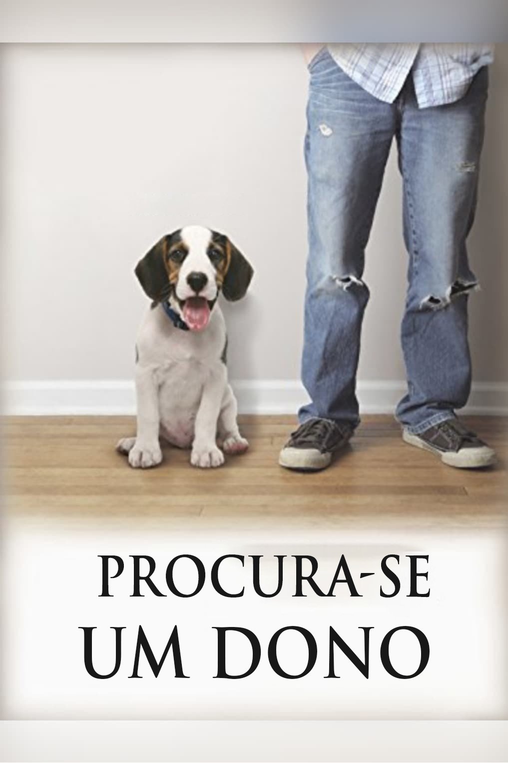 Poster de Procura-se um dono