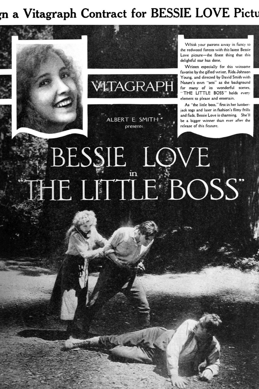 Poster de The Little Boss