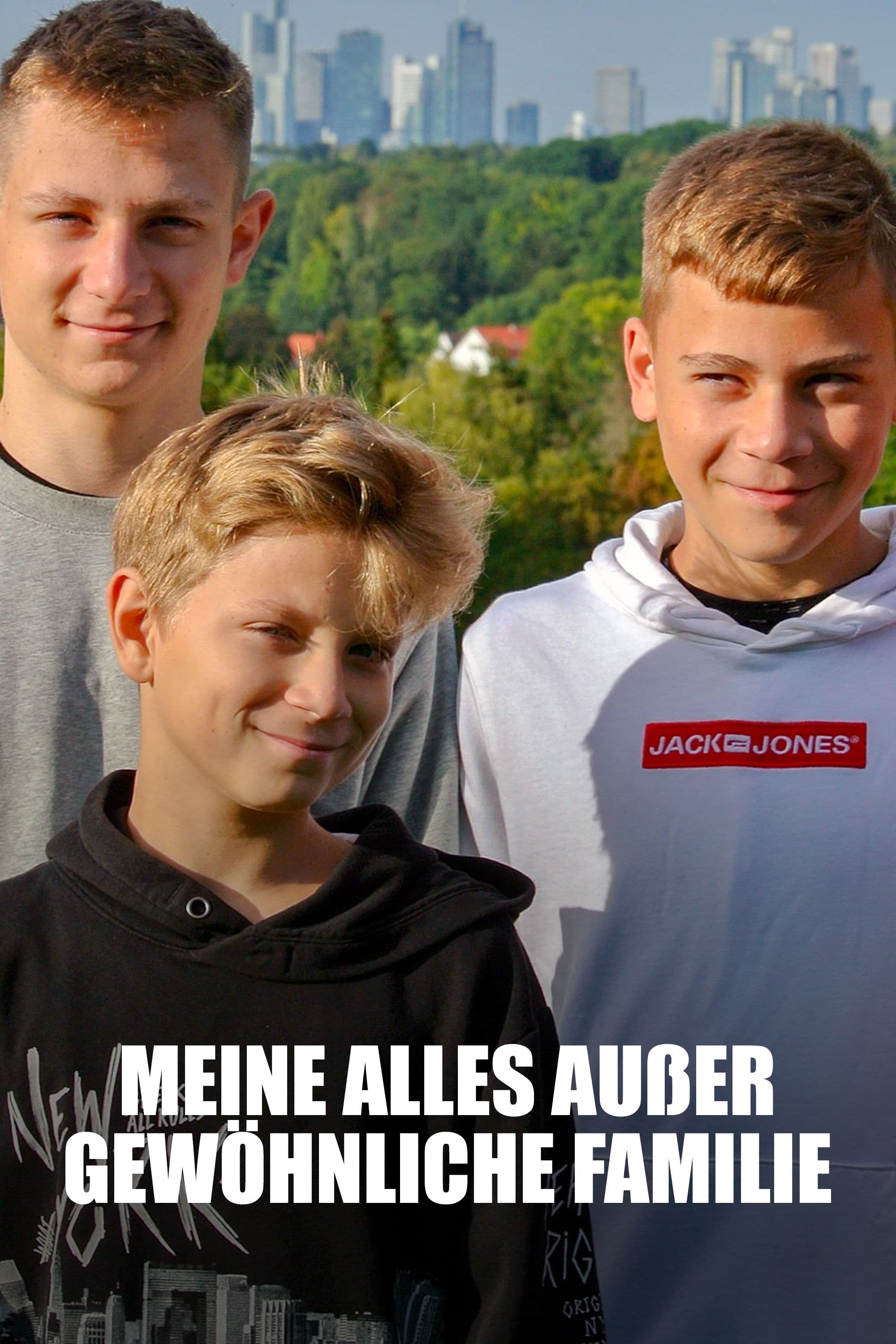 Poster de Meine alles außer gewöhnliche Familie