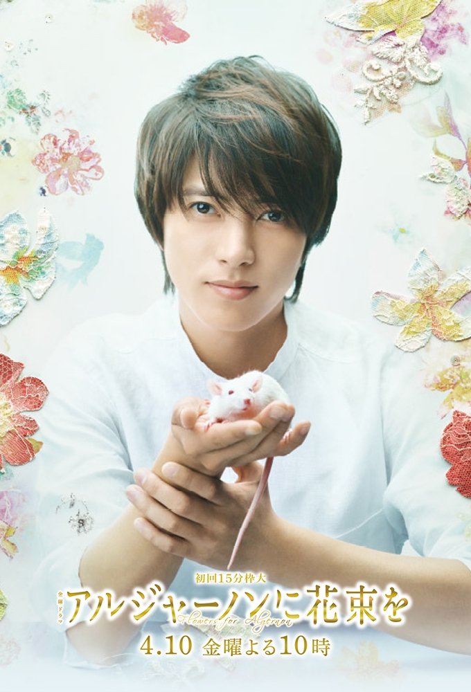 Poster de Flores para Algernon