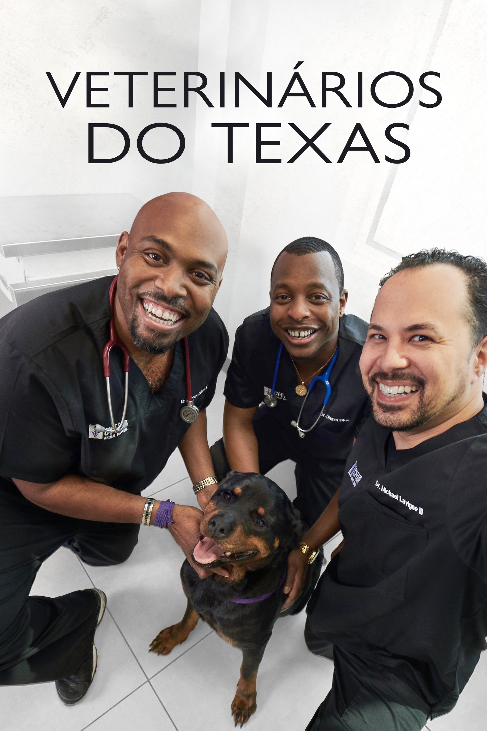 Poster de Veterinários do Texas