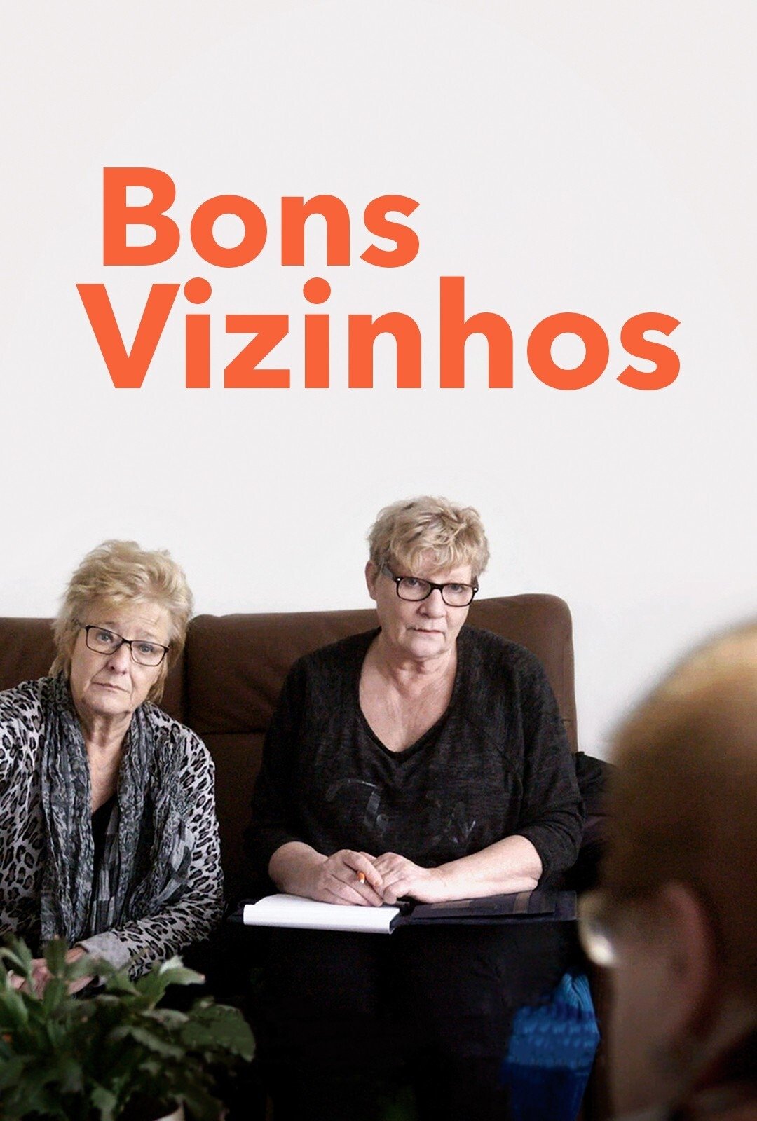 Poster de Bons Vizinhos
