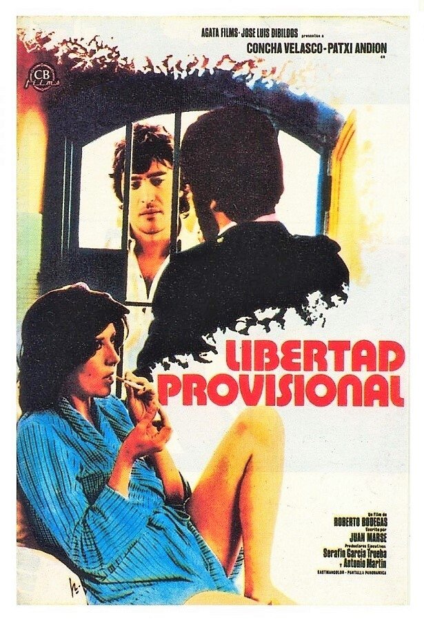 Poster de Libertad provisional