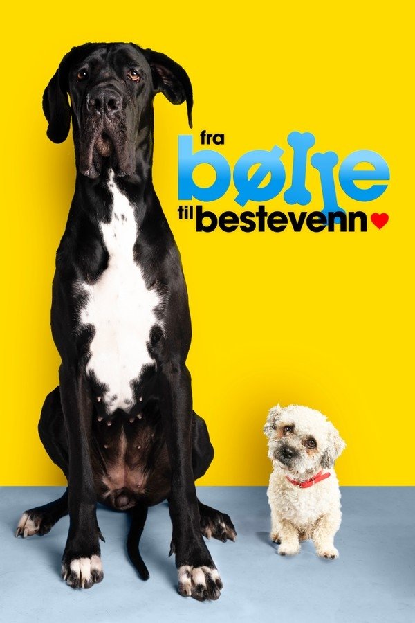Poster de Temporada 3