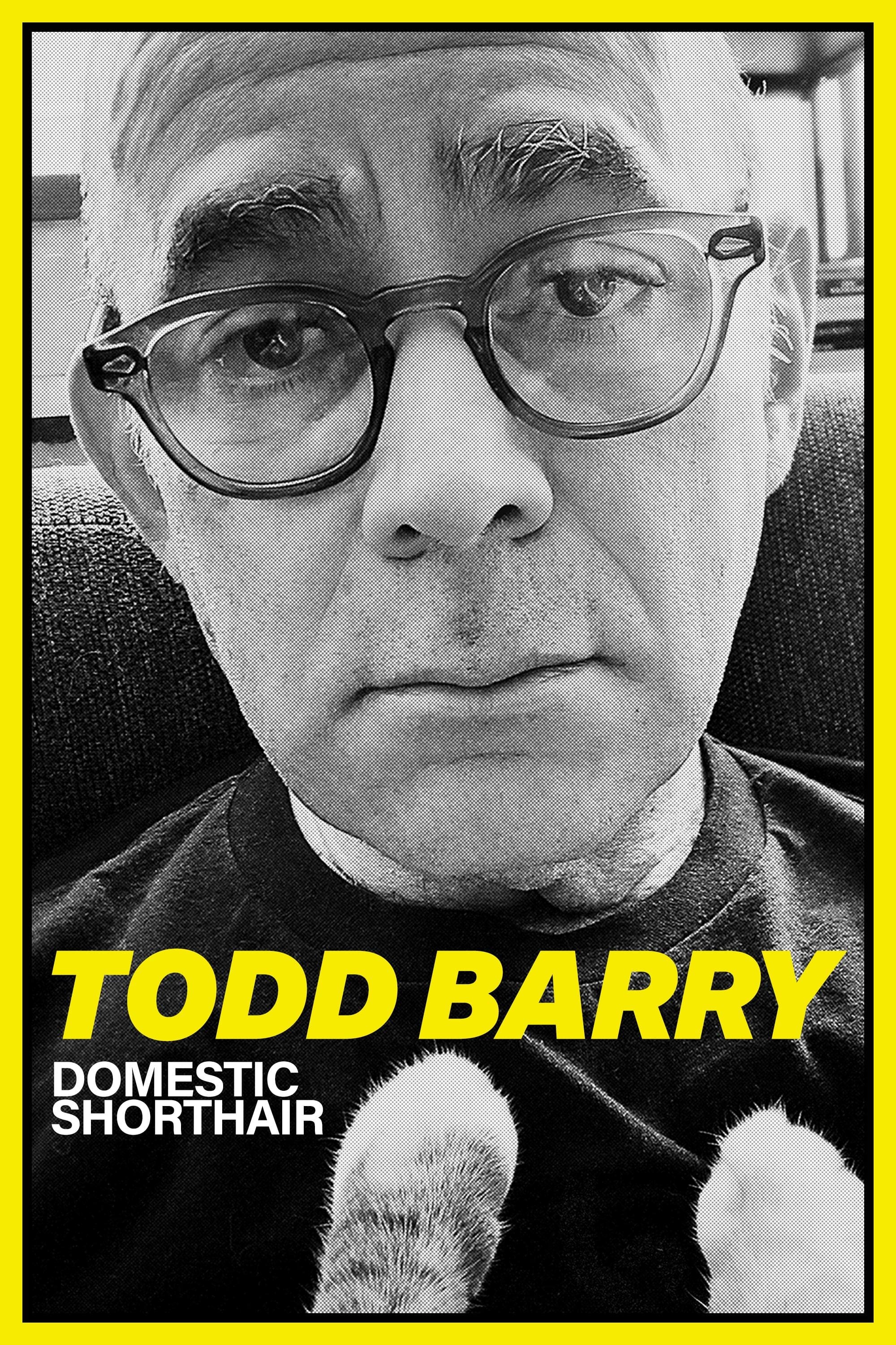 Poster de Todd Barry: Domestic Shorthair
