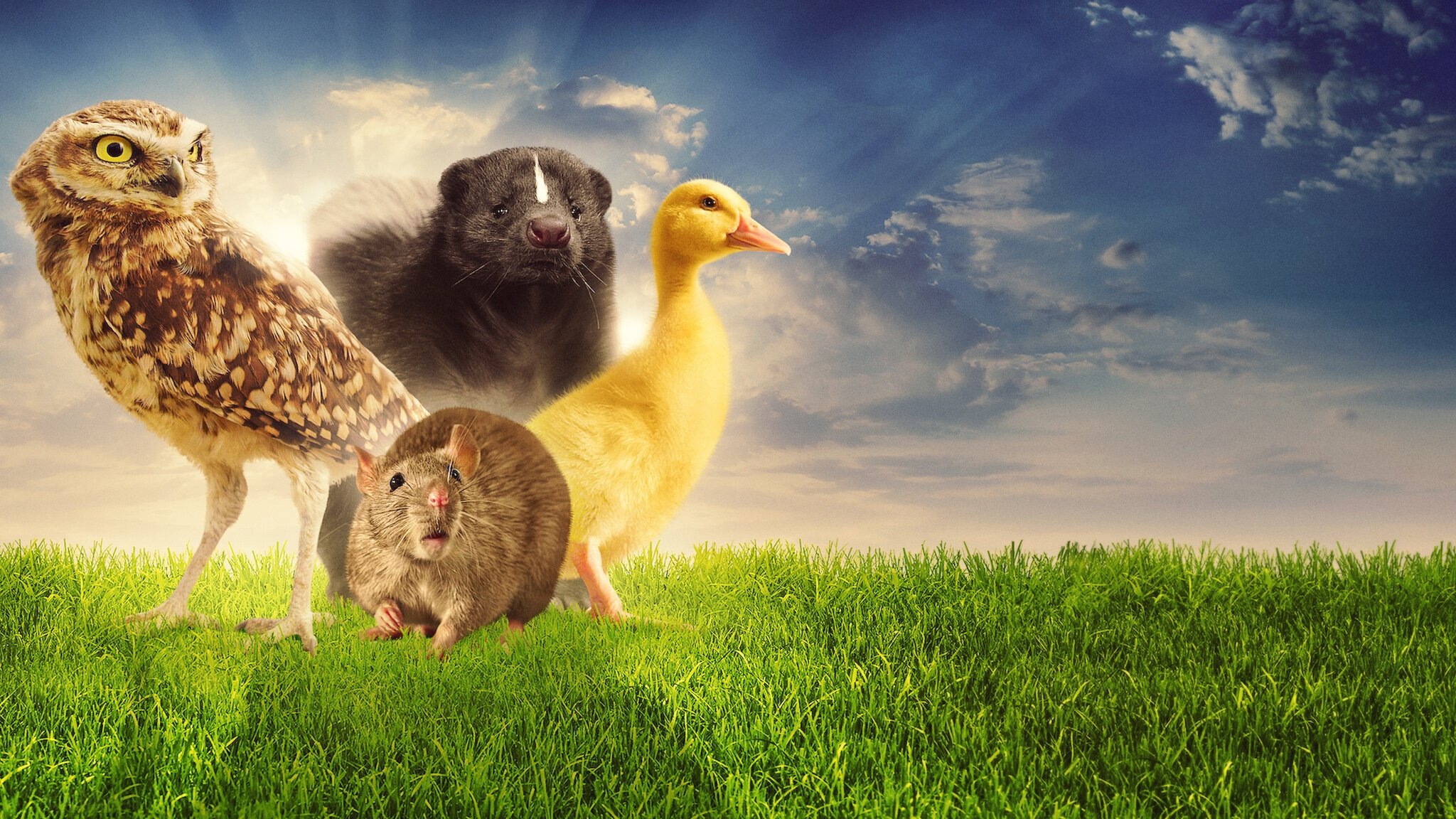 Backdrop image