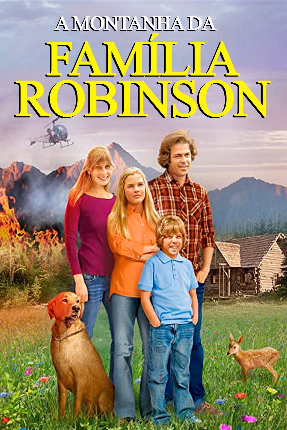 Poster de A Montanha da Família Robinson