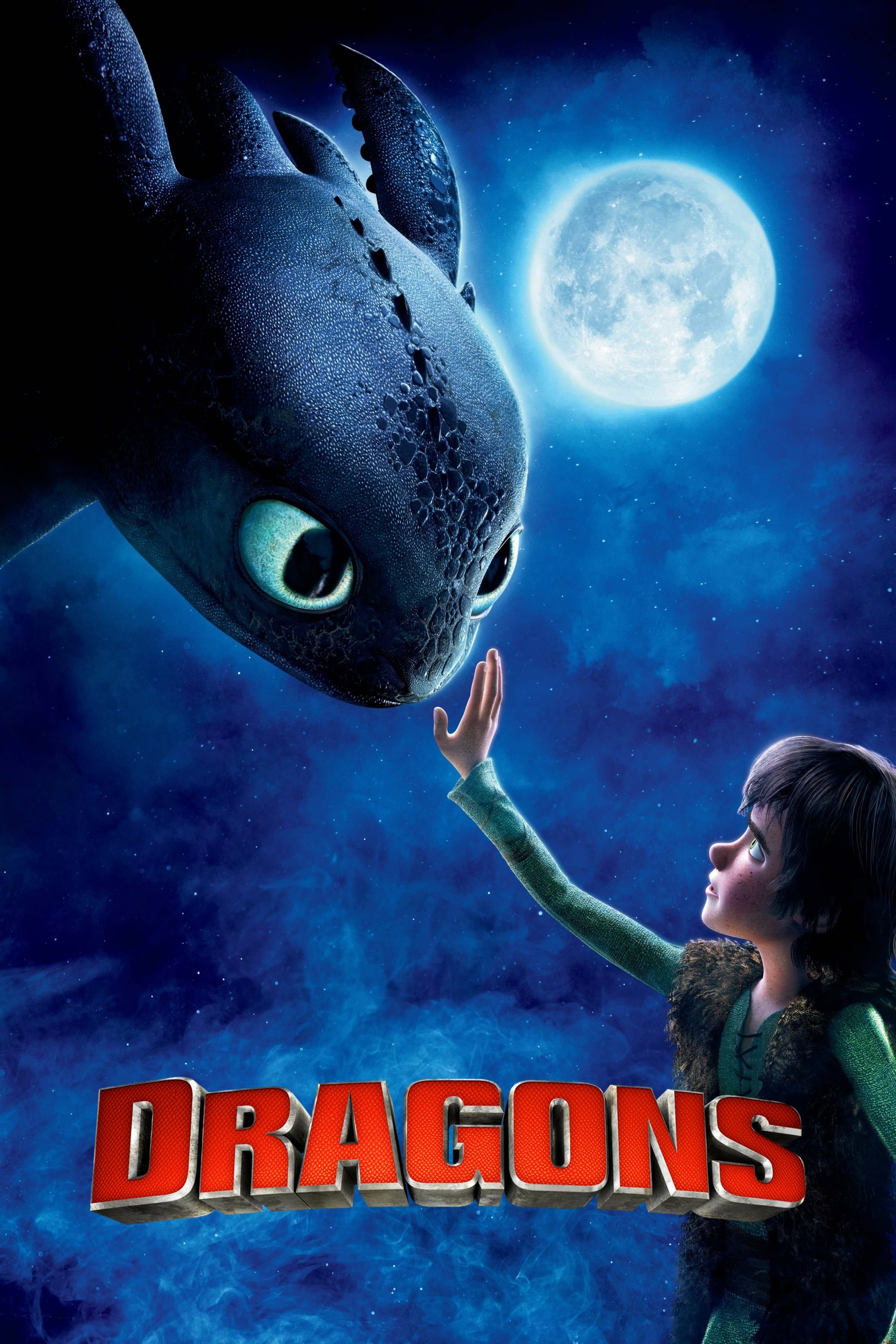Affiche du film How to Train Your Dragon