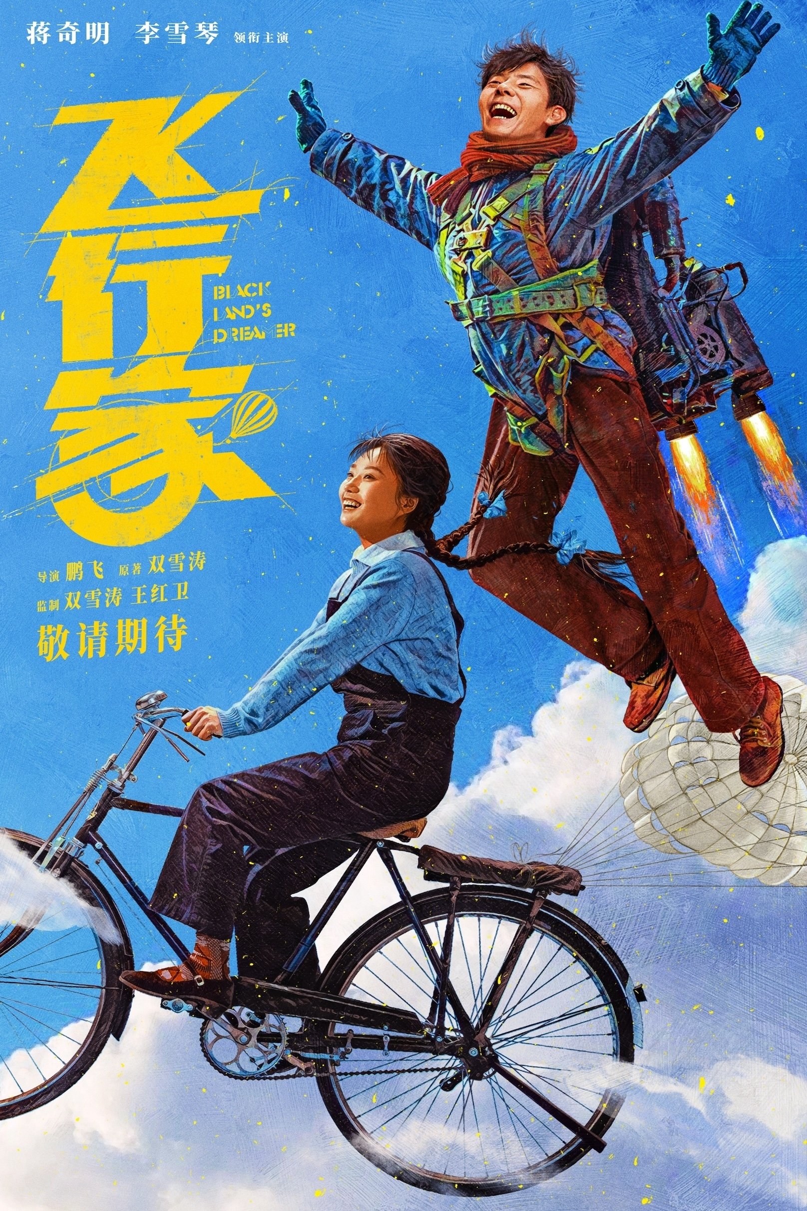 Poster de 飞行家