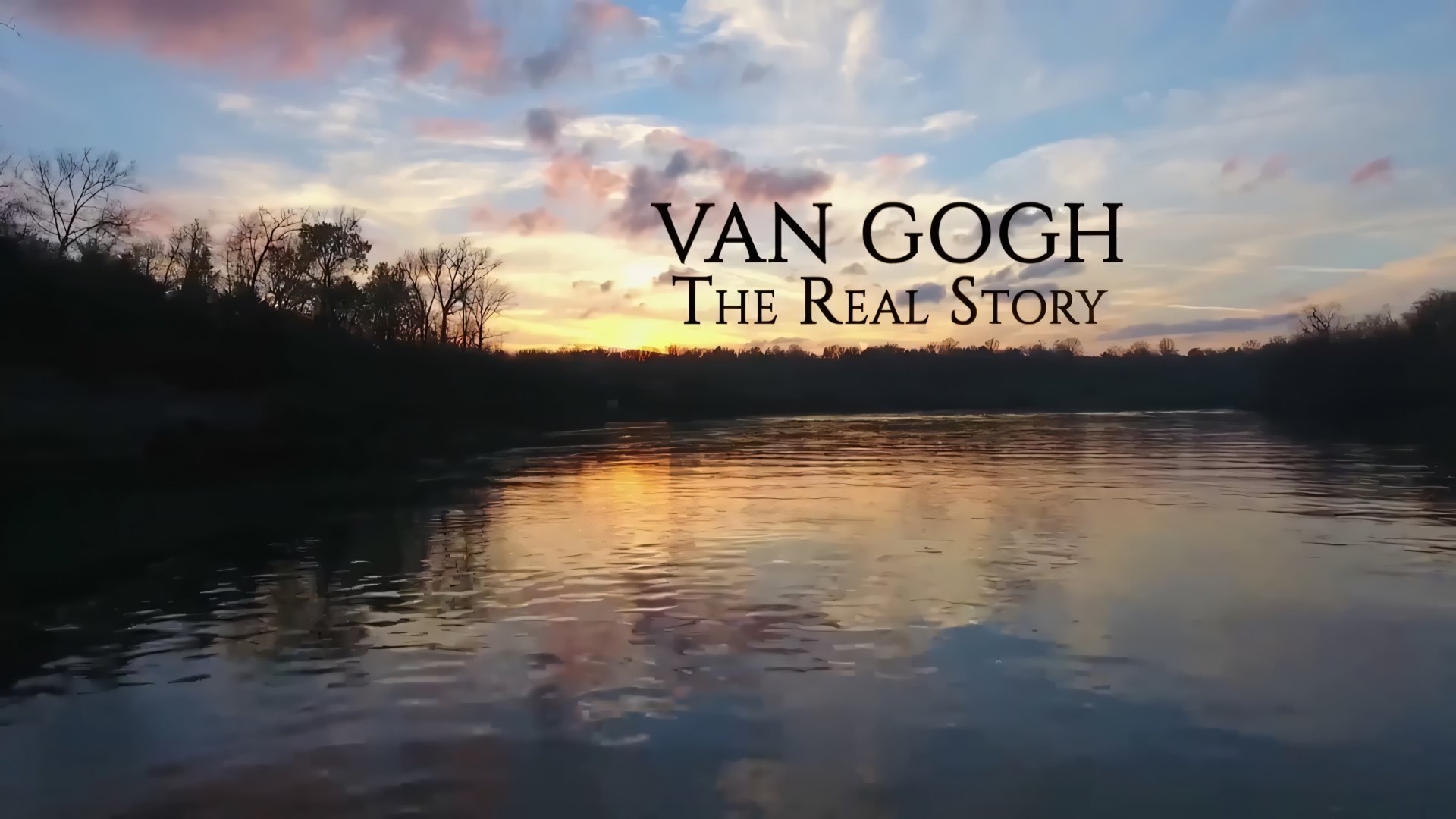 Van Gogh: The Real Story