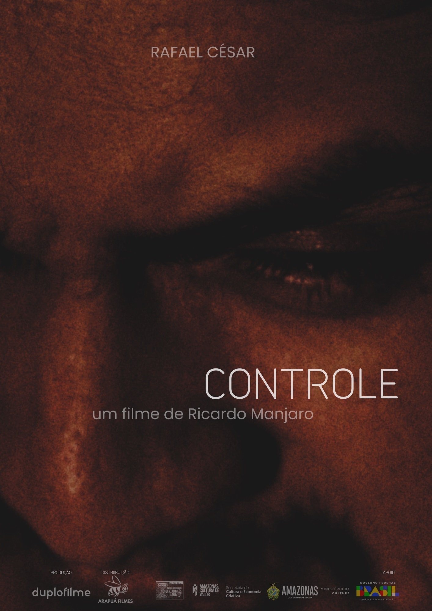 Poster de Controle