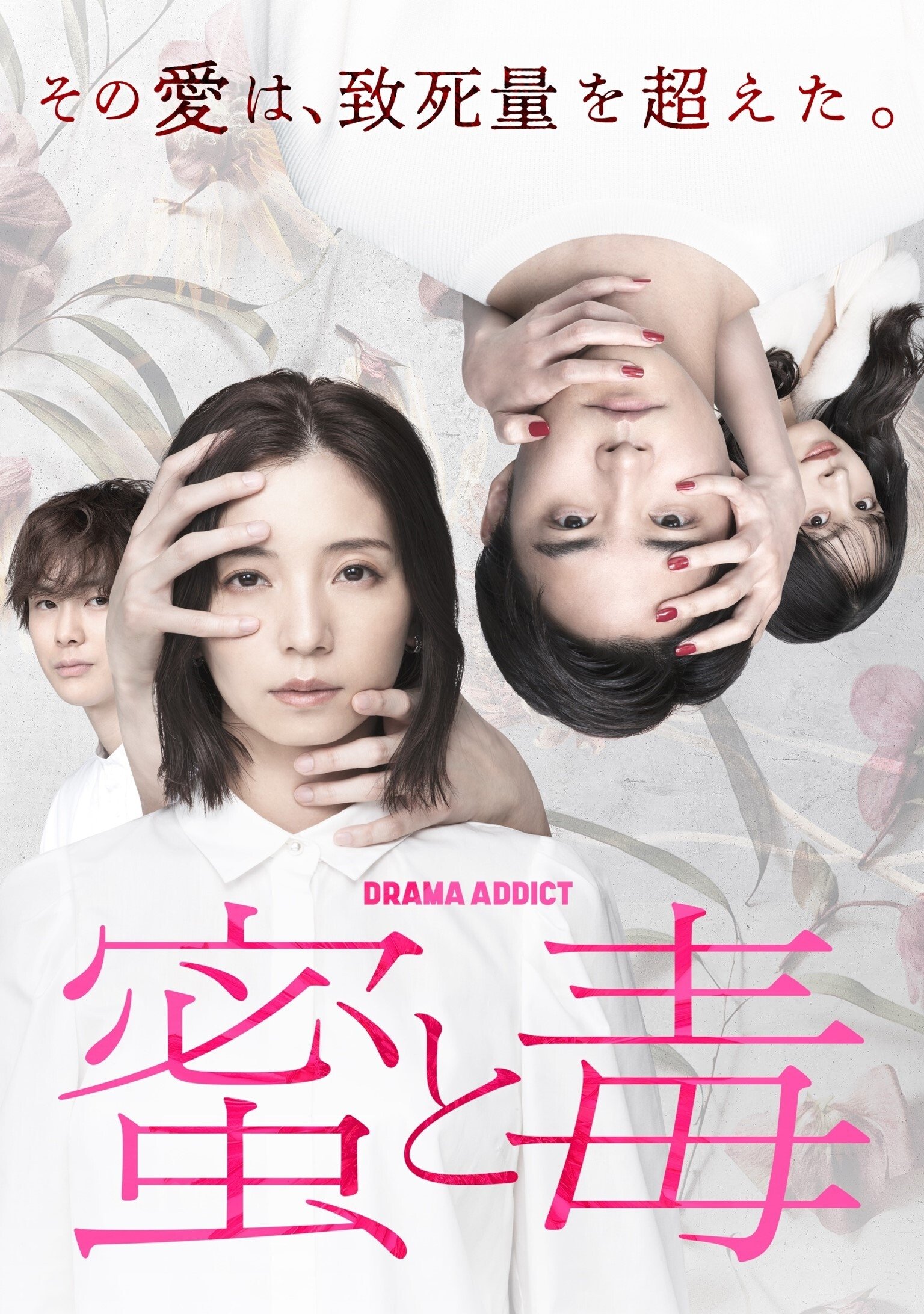 Poster de 蜜と毒