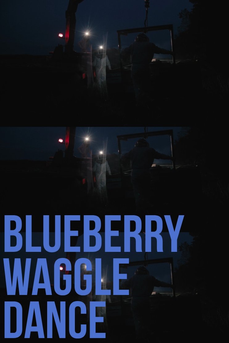 Poster de Blueberry Waggle Dance